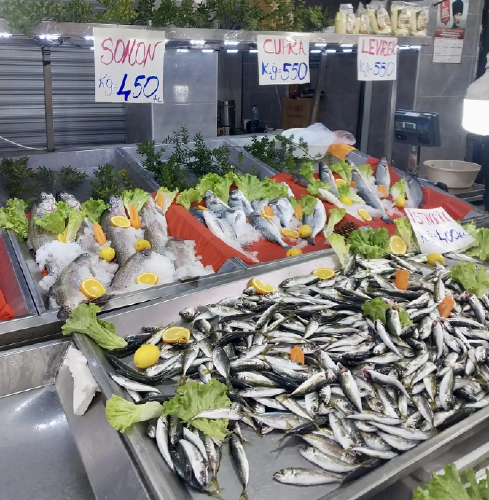 Ereğli'den geldi, tezgâh şenlendi