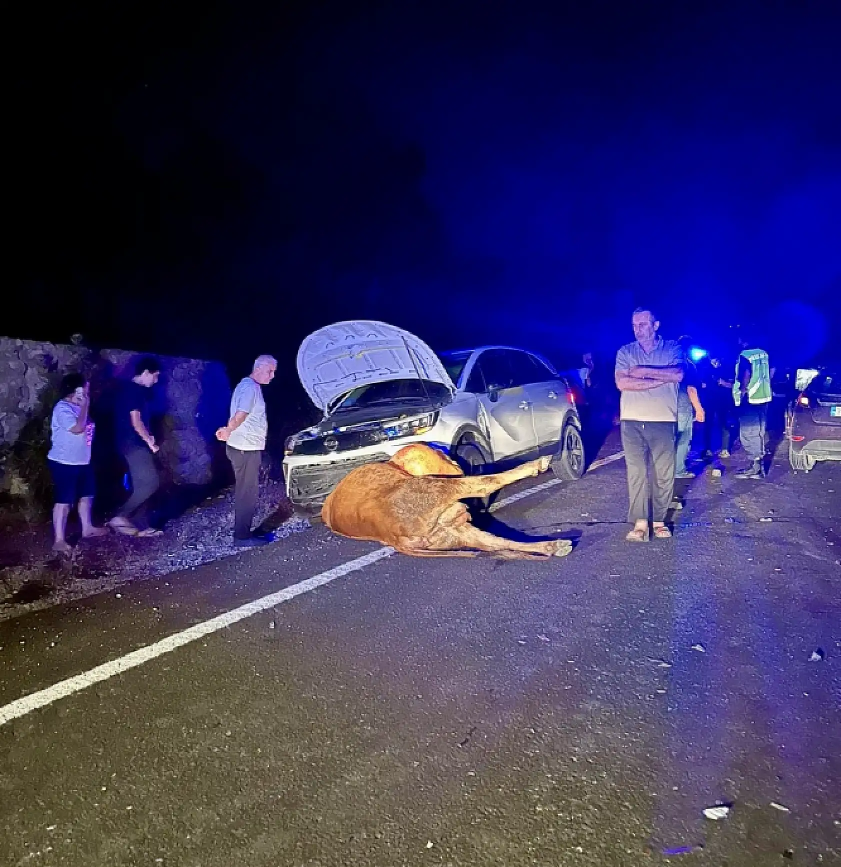 İki araç birden hayvana çarptı