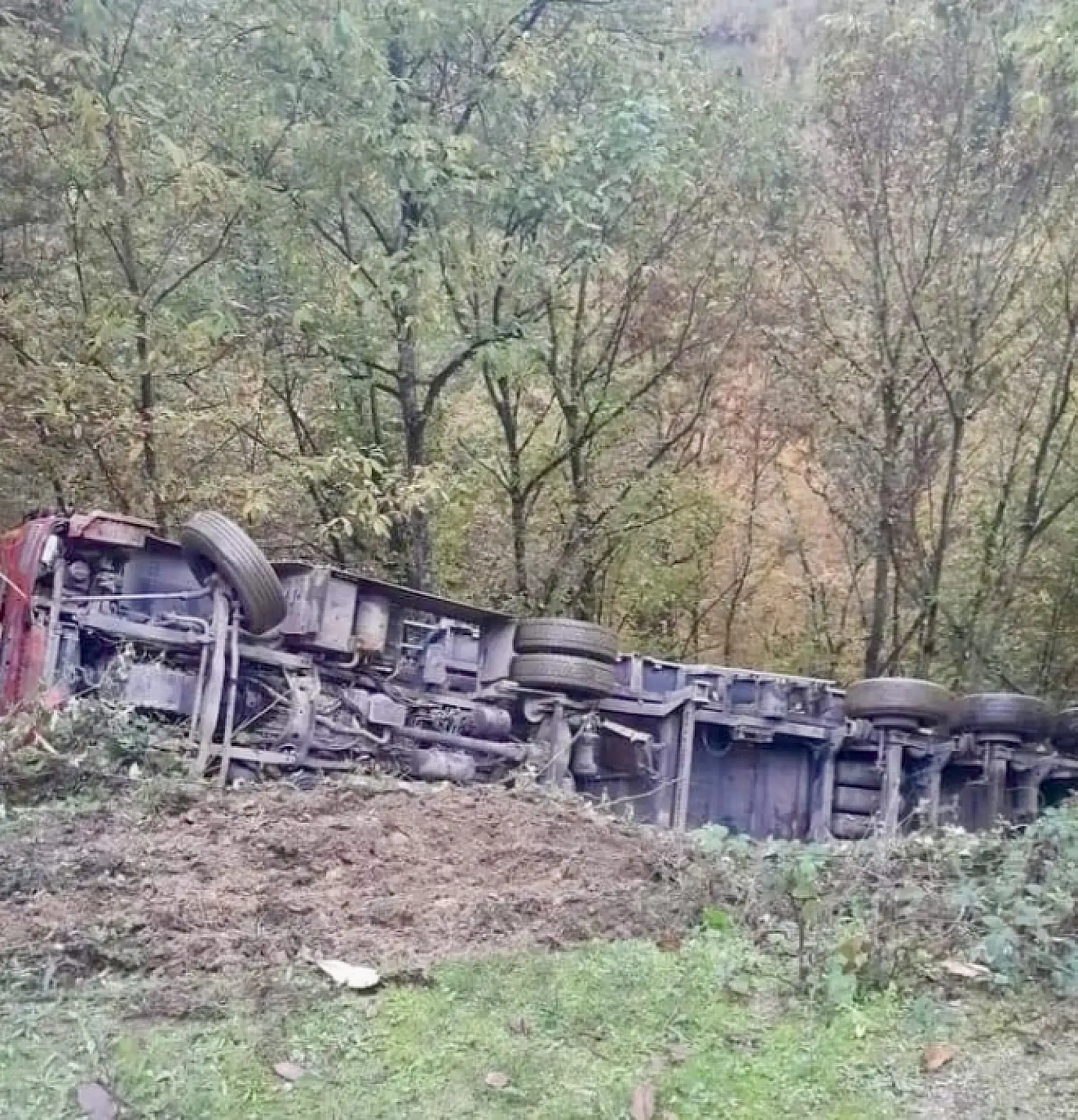 Odun yüklü tır şarampole devrildi