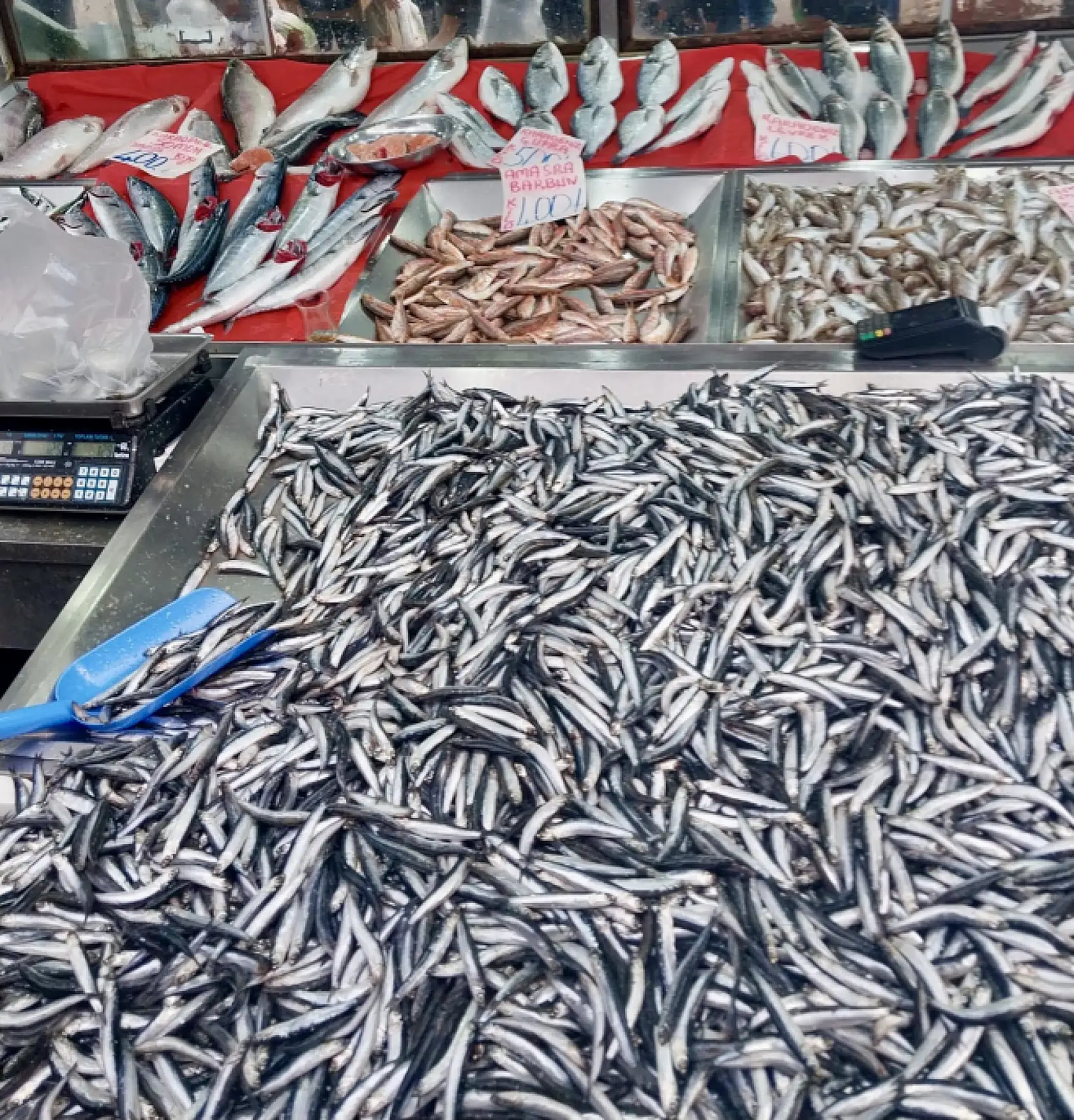 Deniz cömert, pazar sert