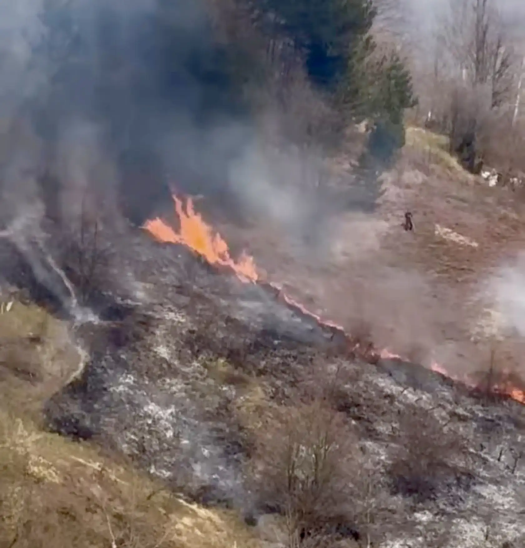 Ot yangını hızla yayıldı