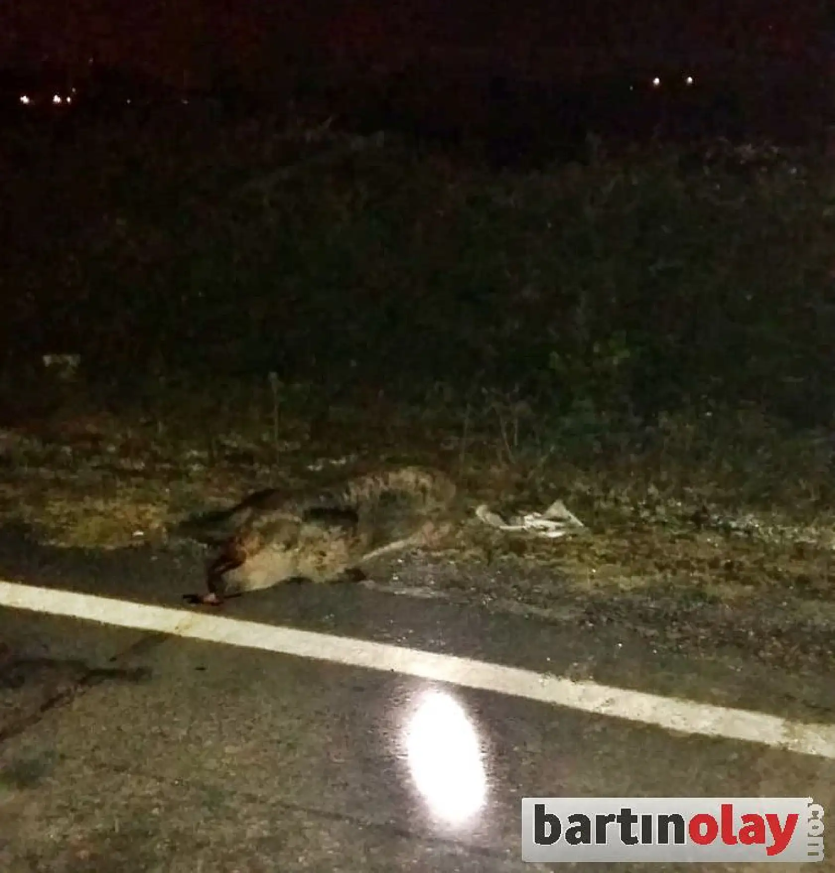 Belediye Başkanı Kaza yaptı