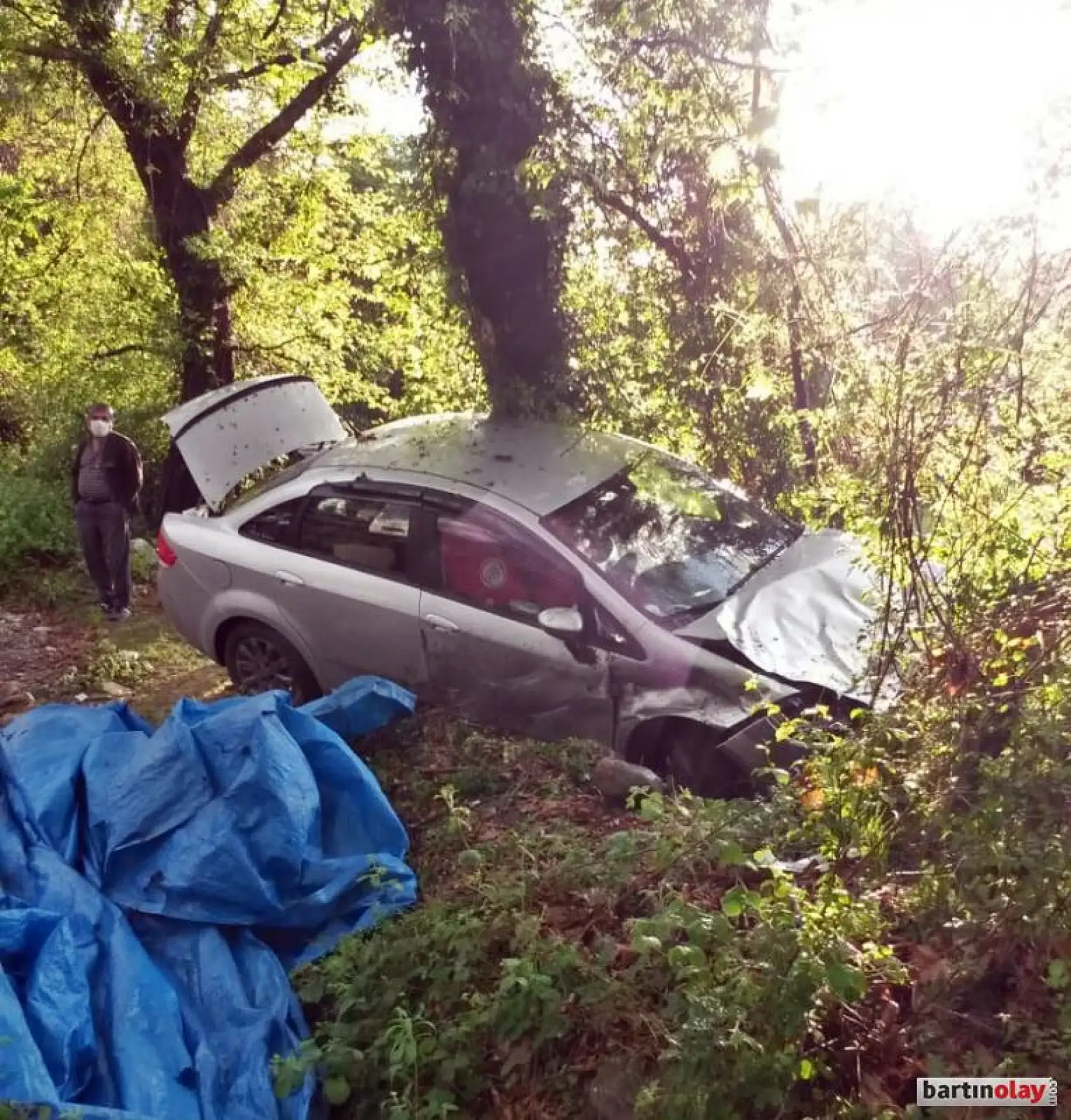 Yoldan çıktı, ağaca çarptı