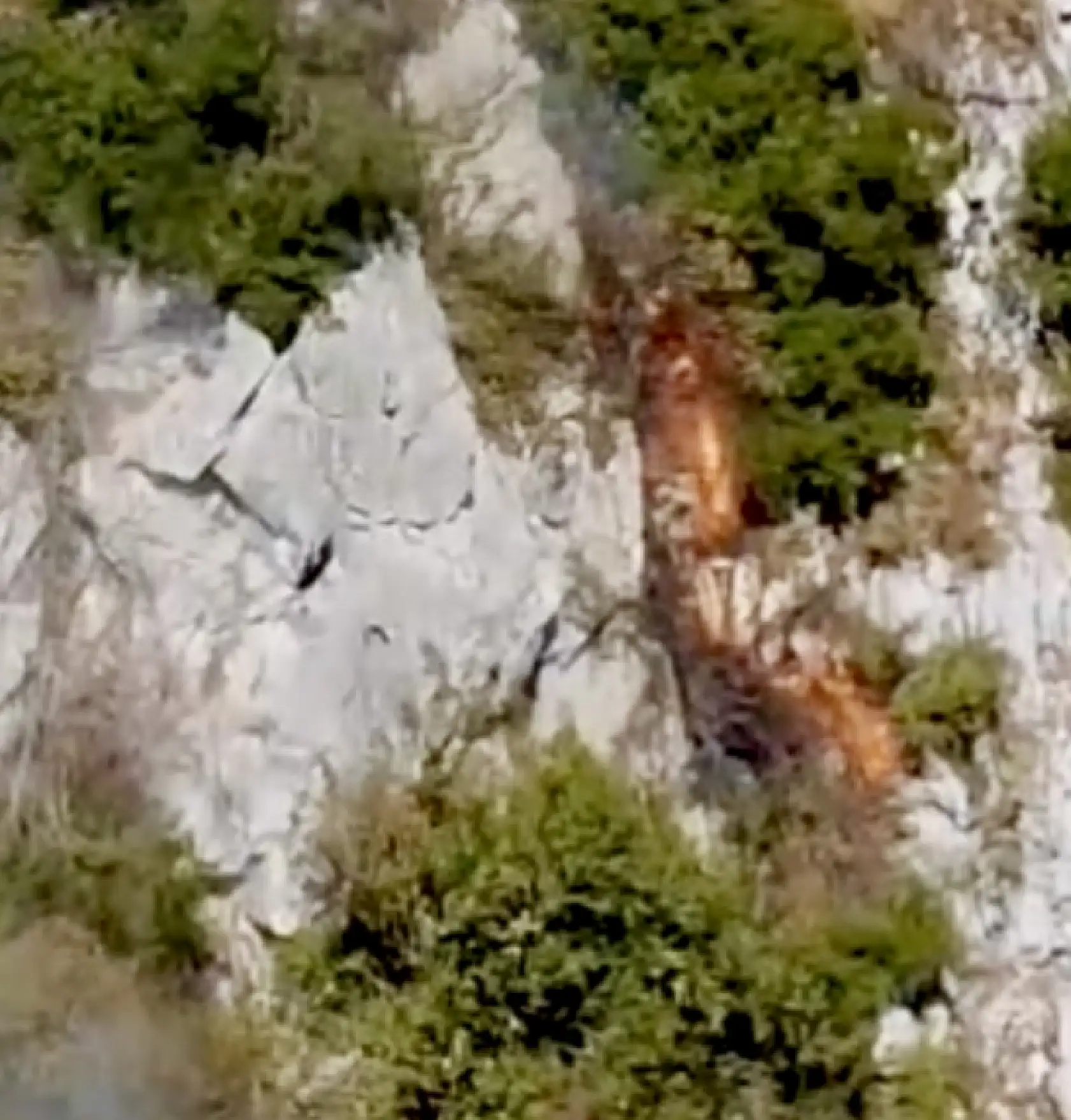 Ölümden döndüler