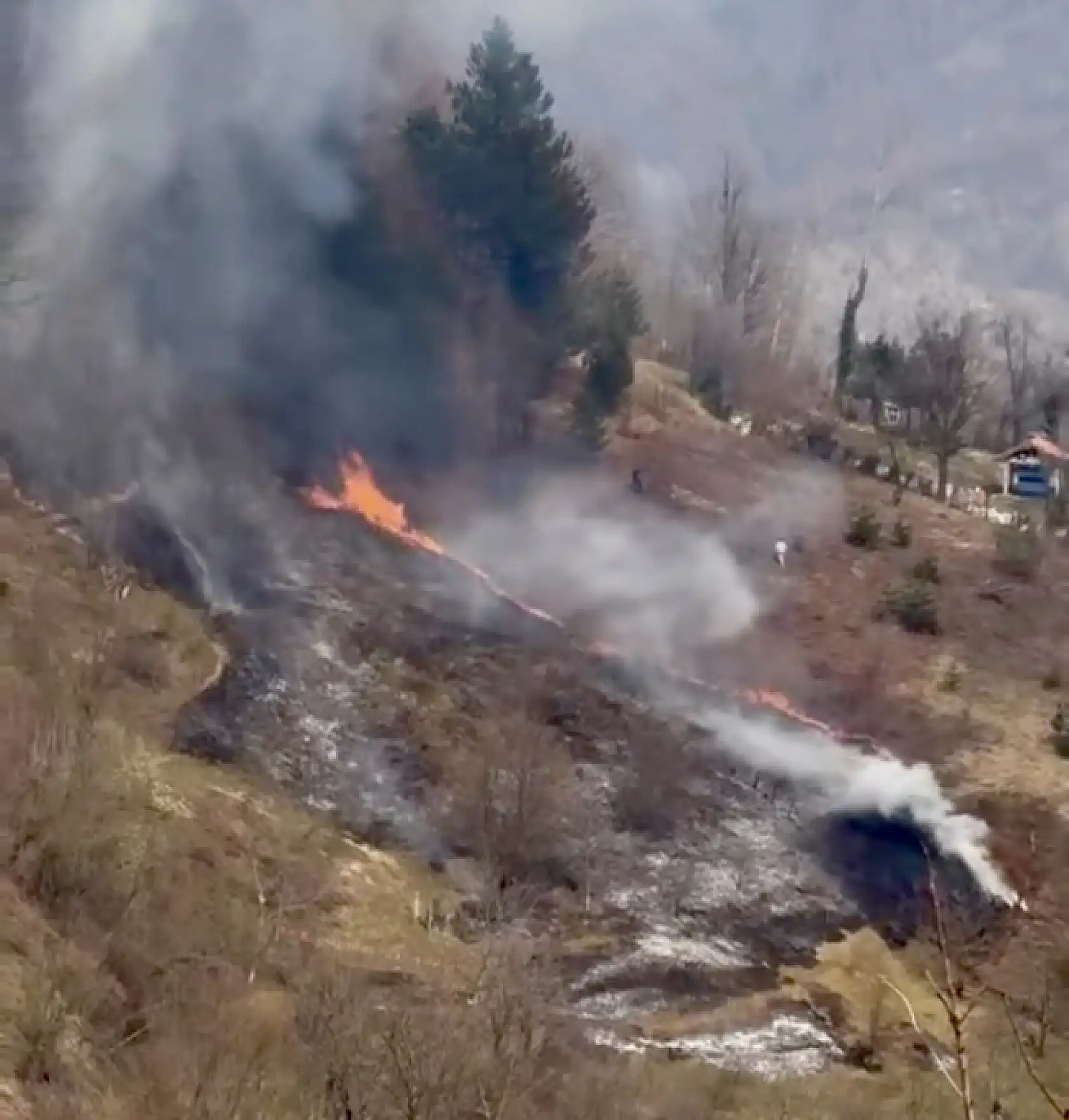 Ot yangını hızla yayıldı