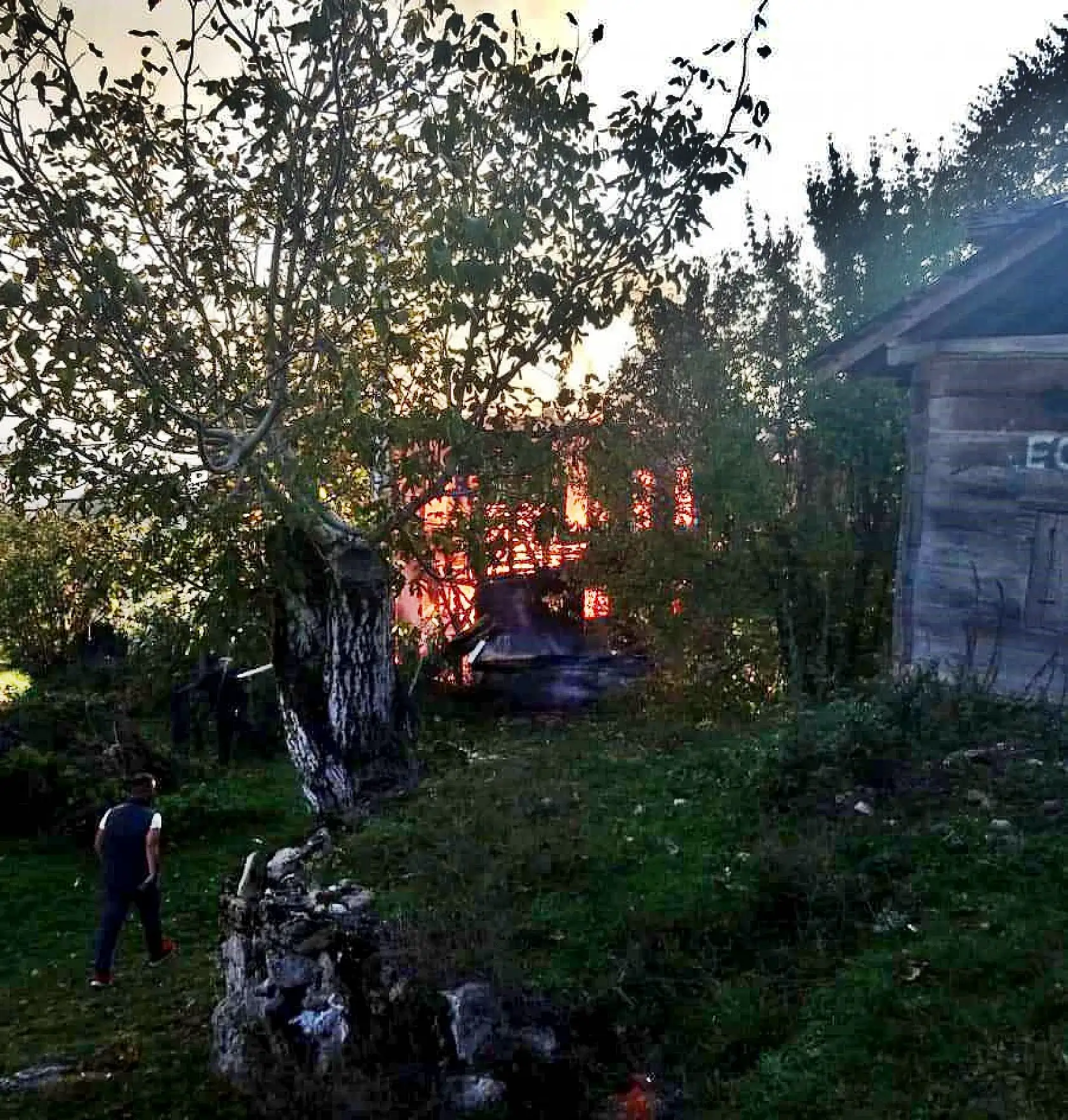 Köyde korkutan yangın