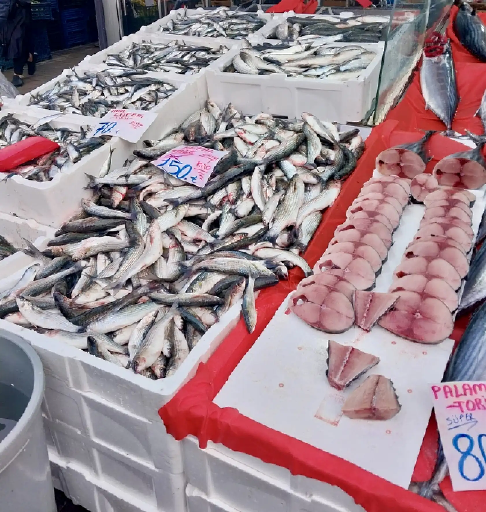 Balık bollaştı, tezgahlar coştu