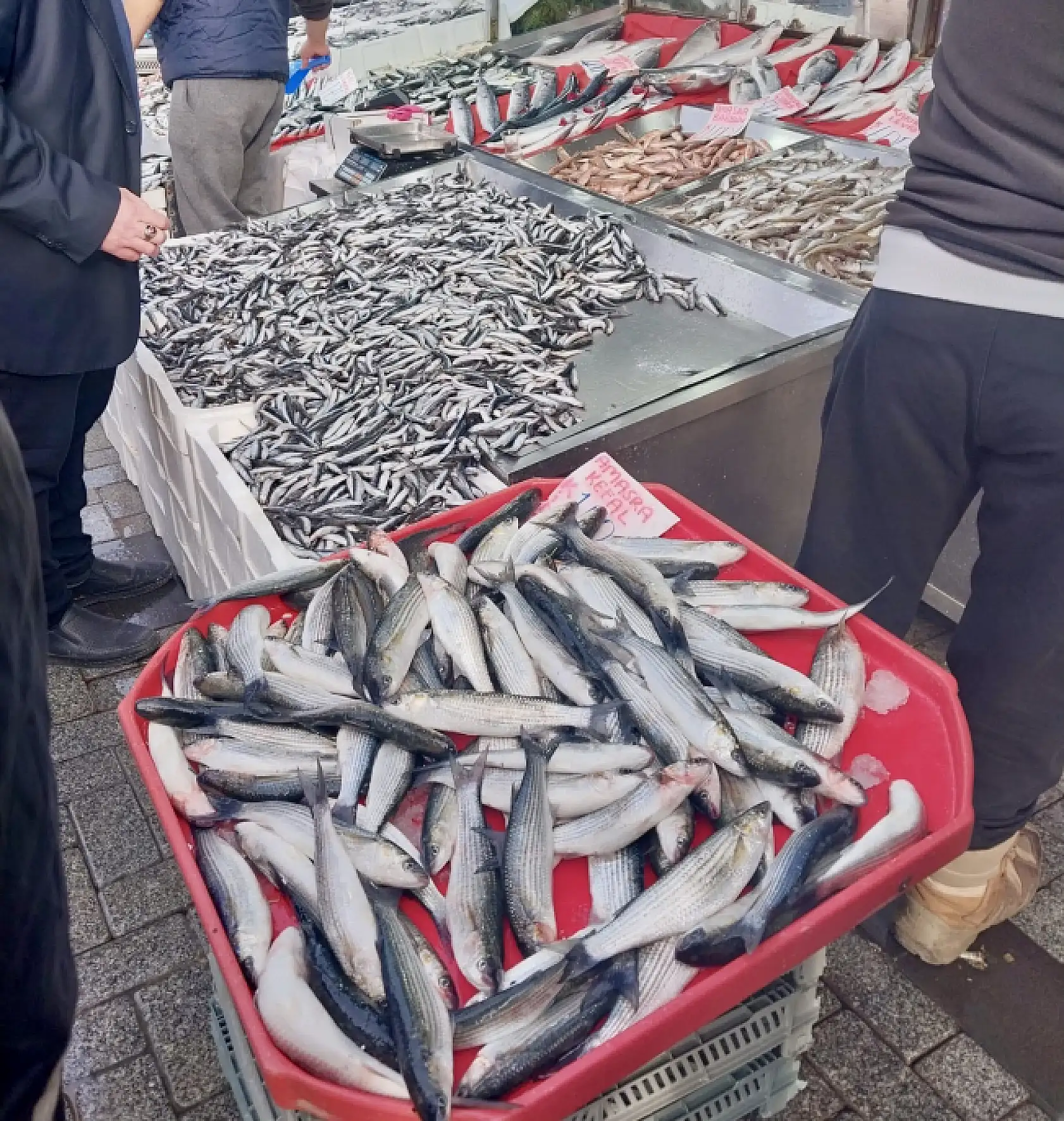 Deniz cömert, pazar sert