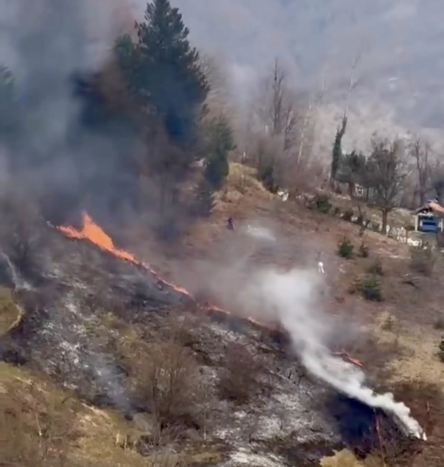 Ot yangını hızla yayıldı