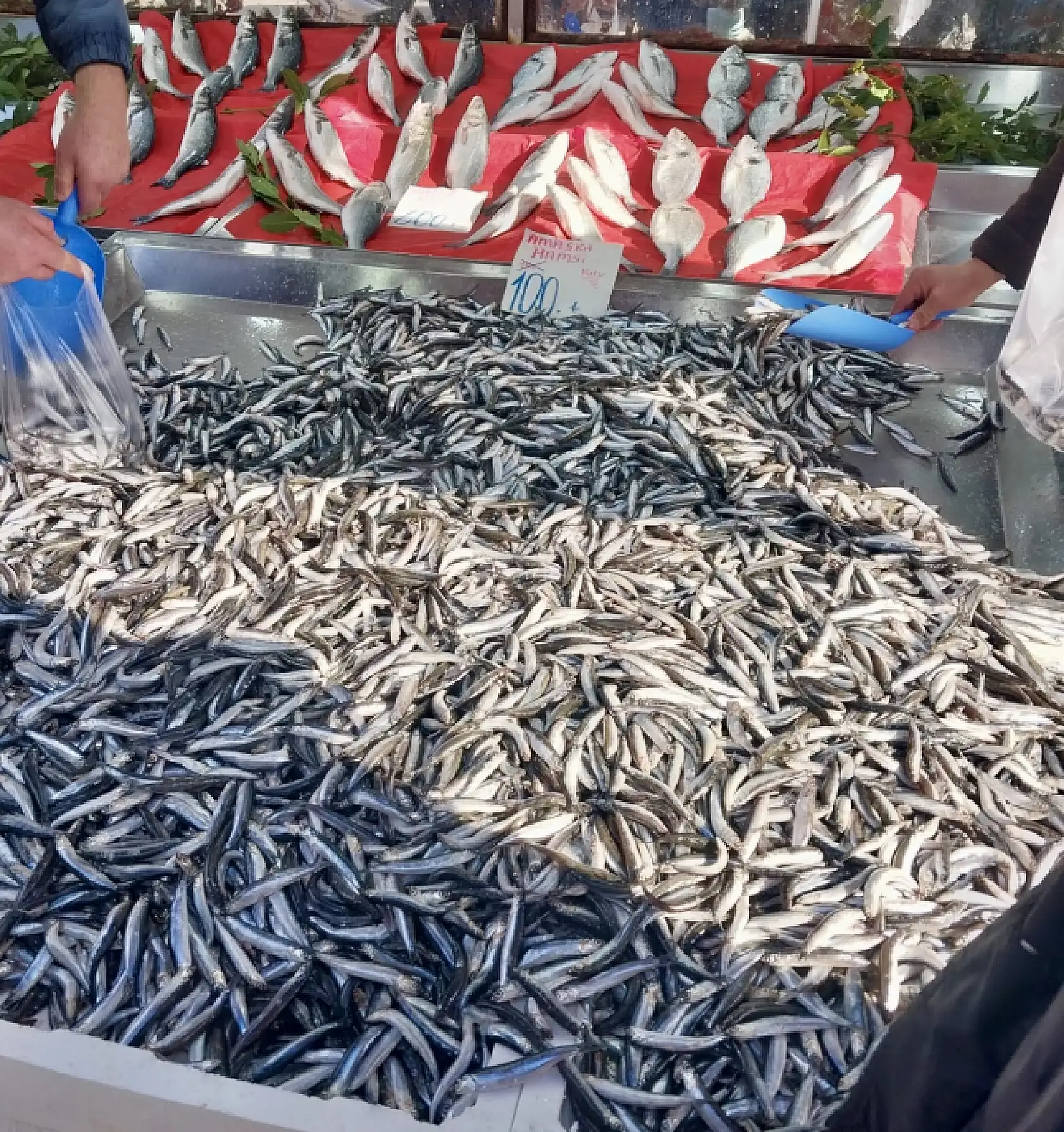 Yılın son balıkları satışta