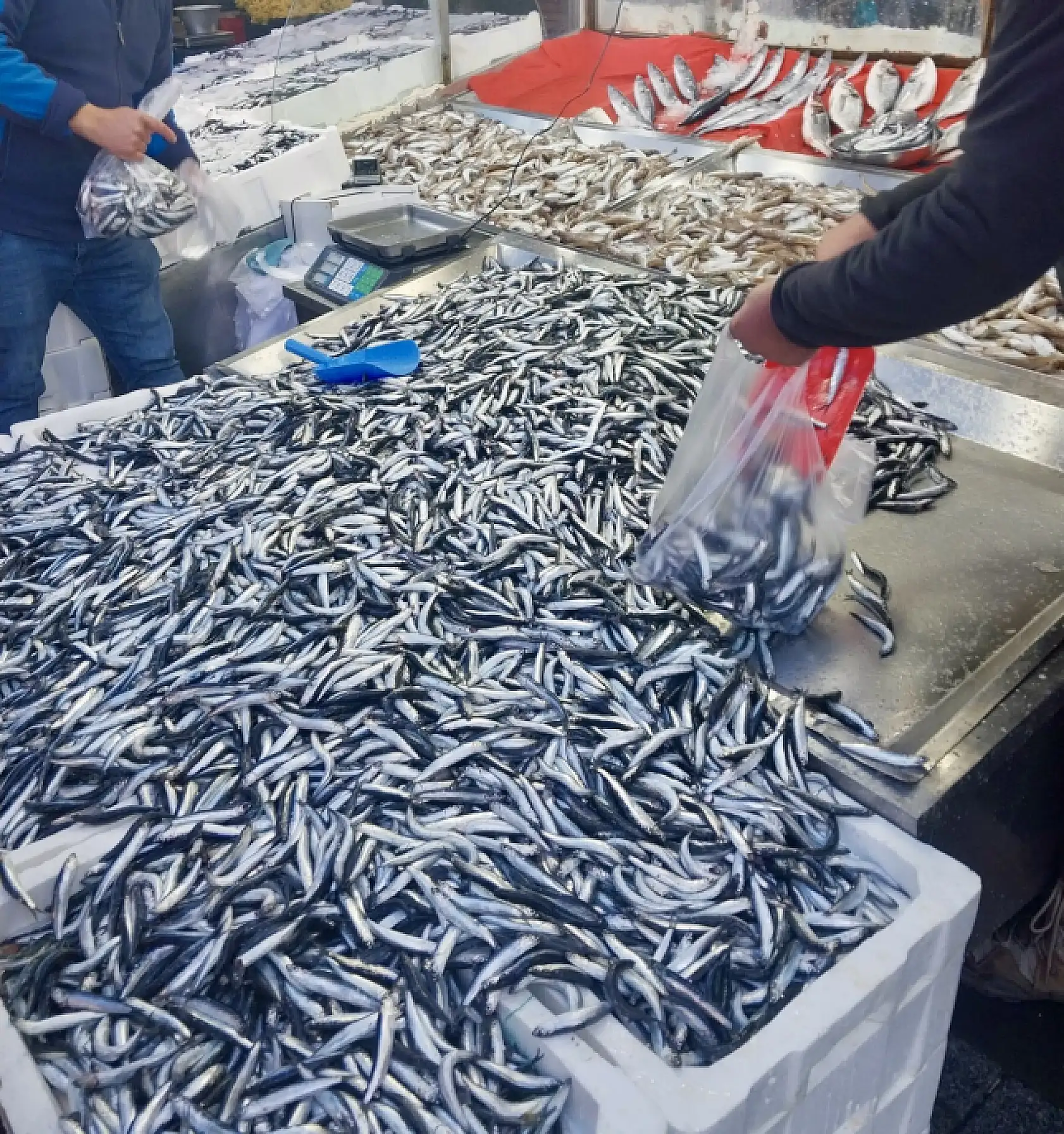 Gel vatandaş gel kampanyaya gel