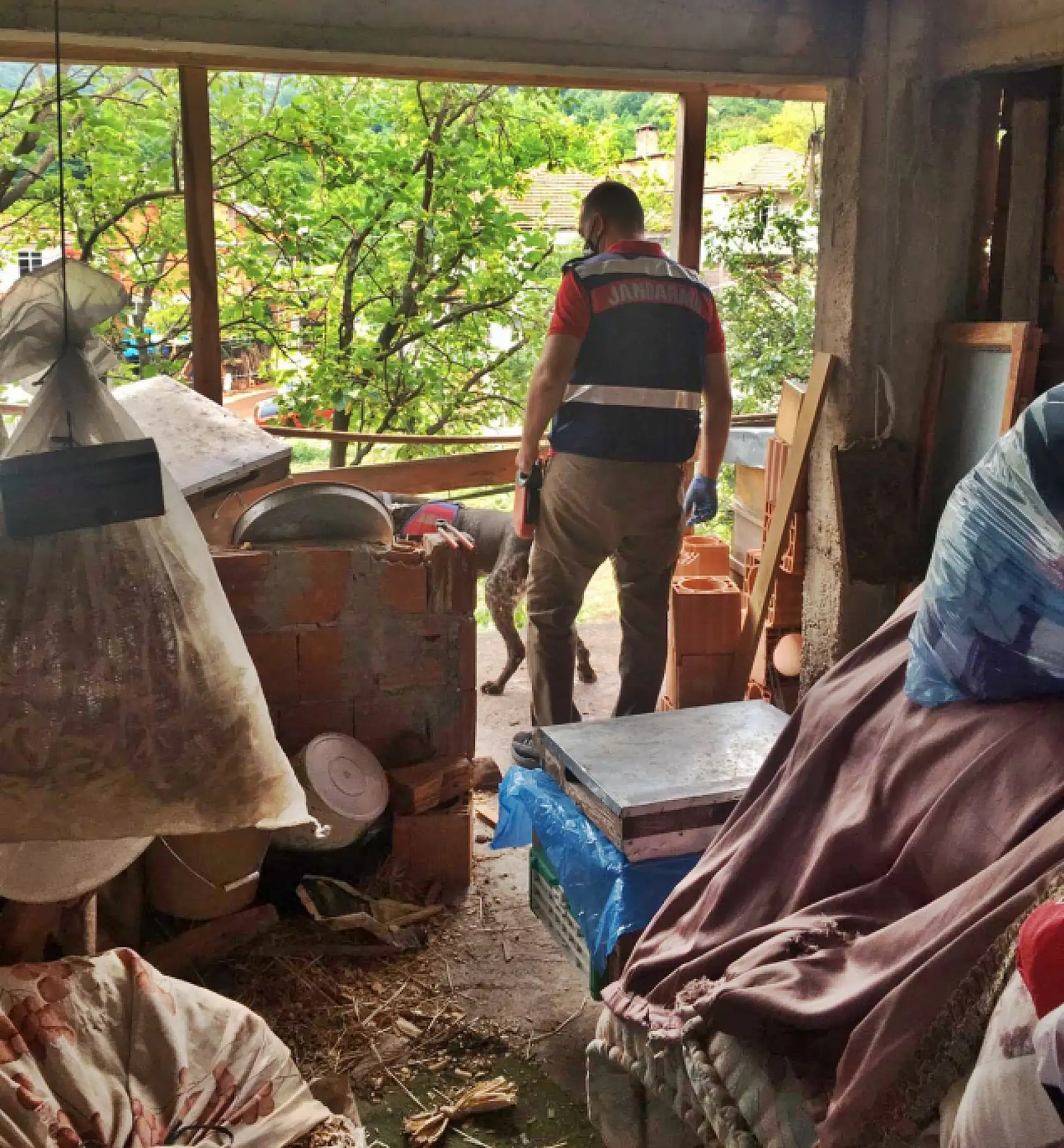 Milli parkta uyuşturucu imalatı