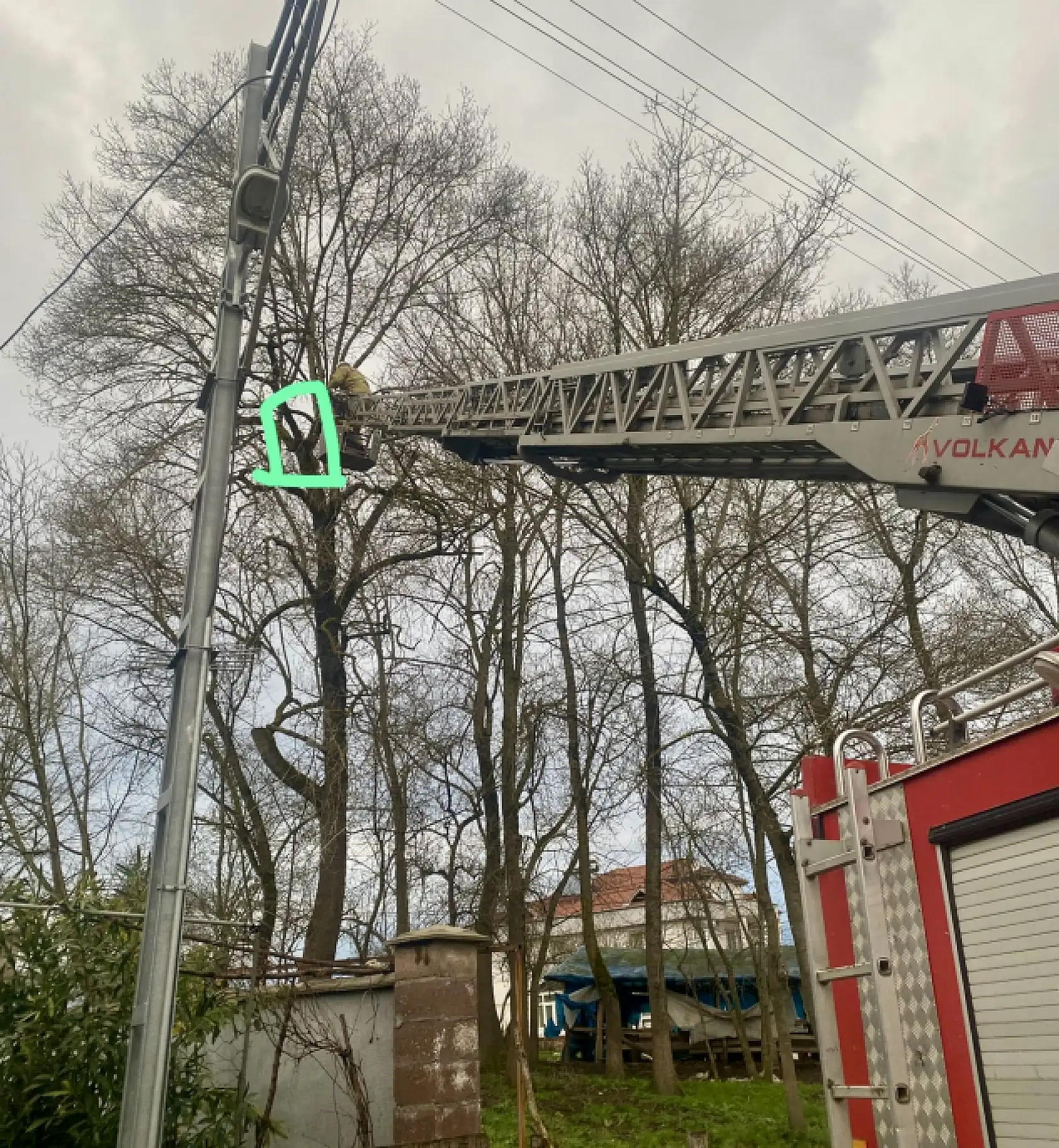 1 haftadır ağaçta mahsur