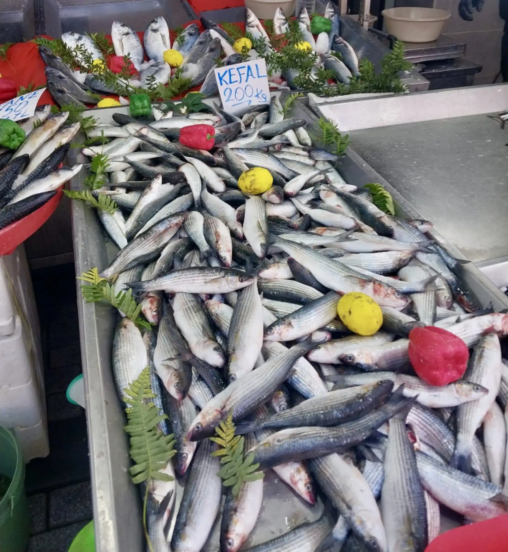 Yılın son balıkları satışta