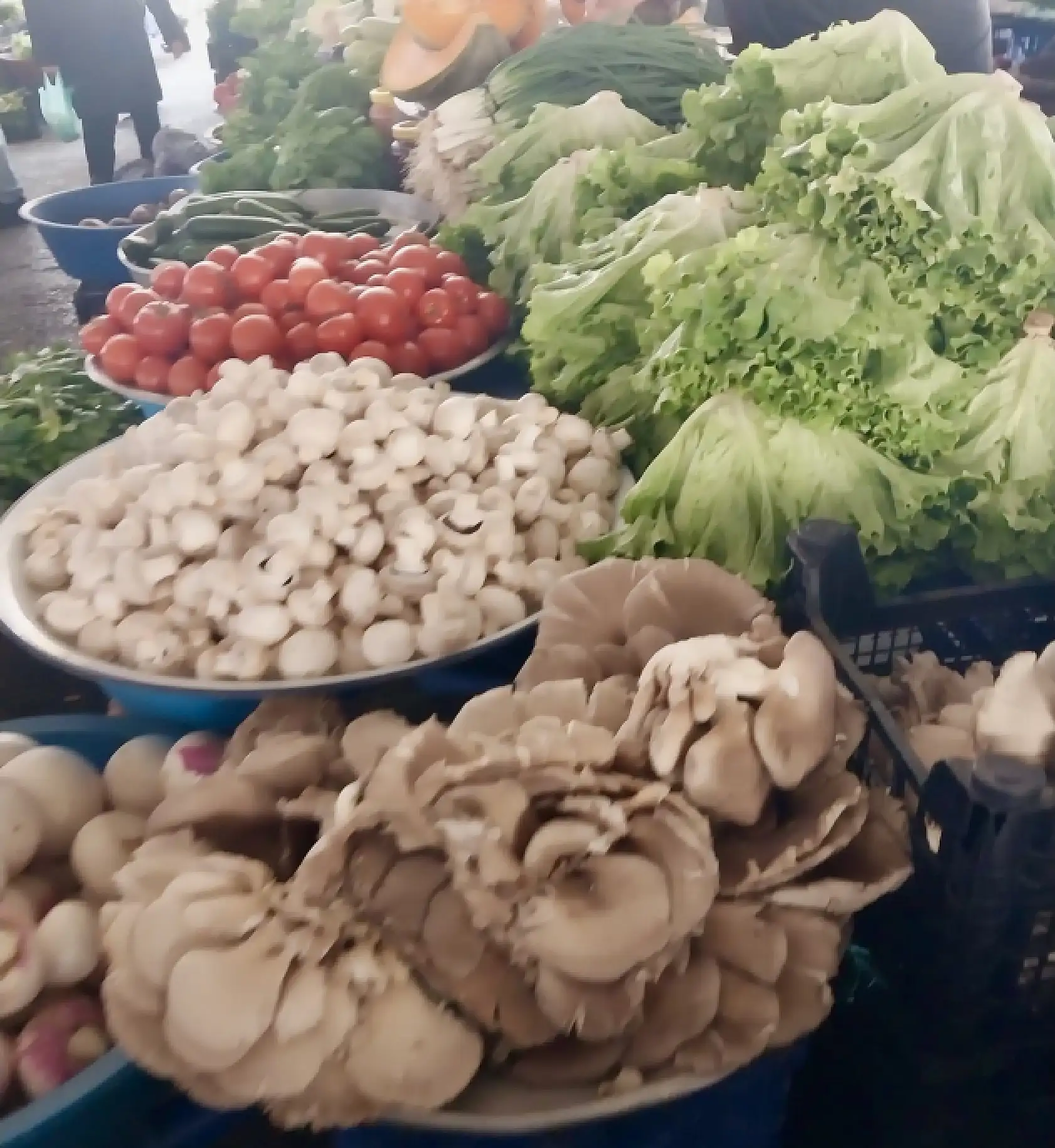 Pazarda şaşırtan fiyatlar