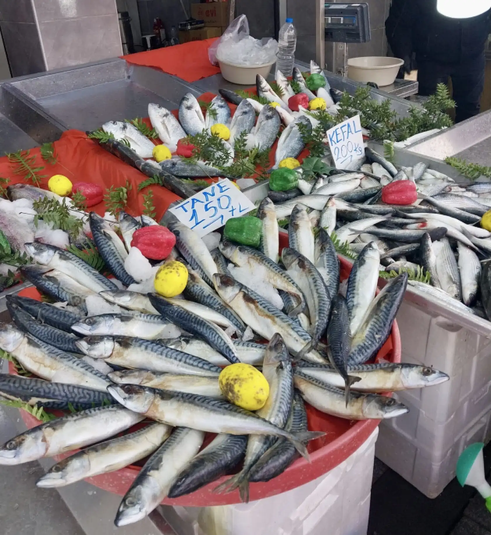 Yılın son balıkları satışta