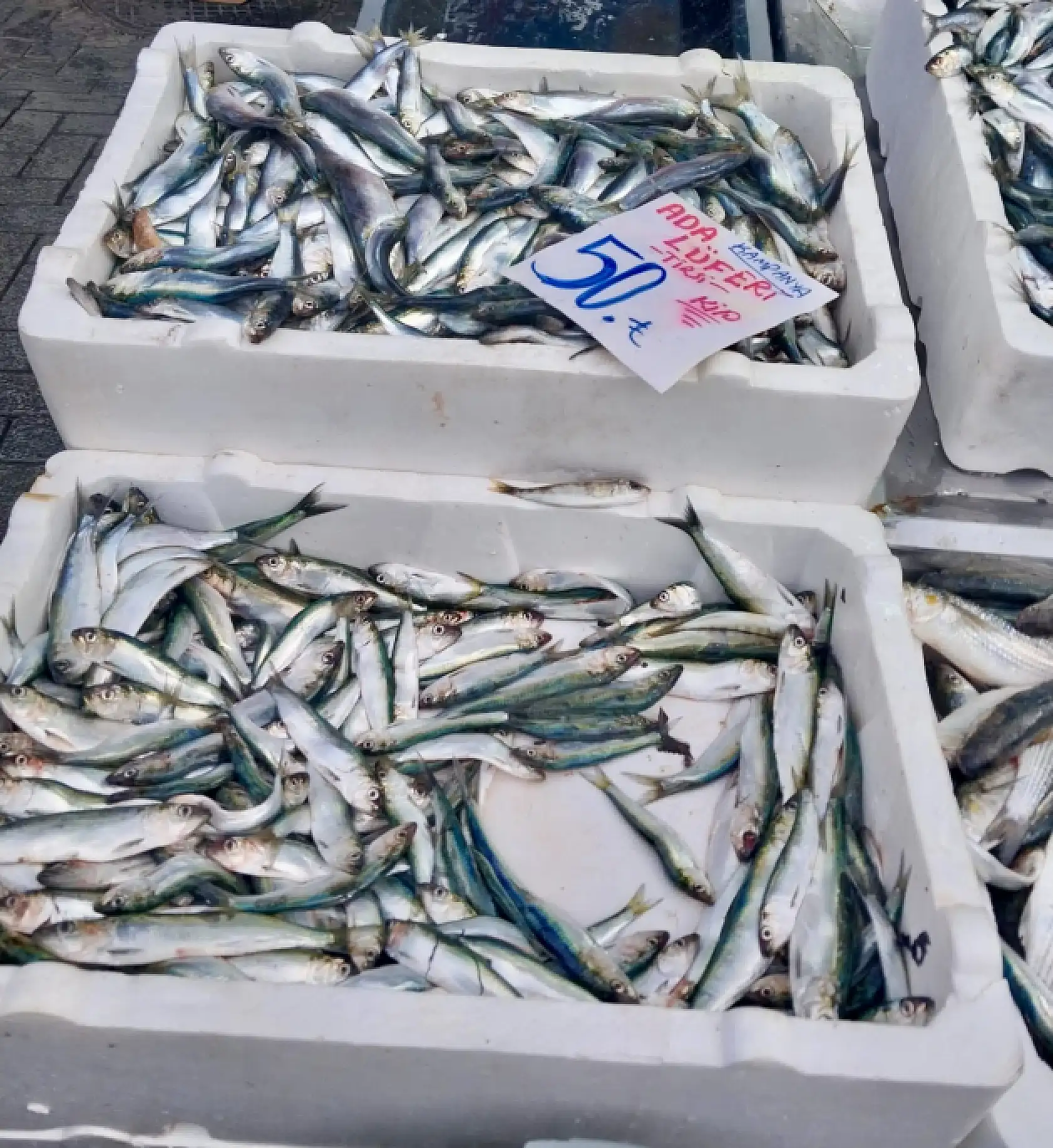 Oynuyor balık, tezgahlar kalabalık