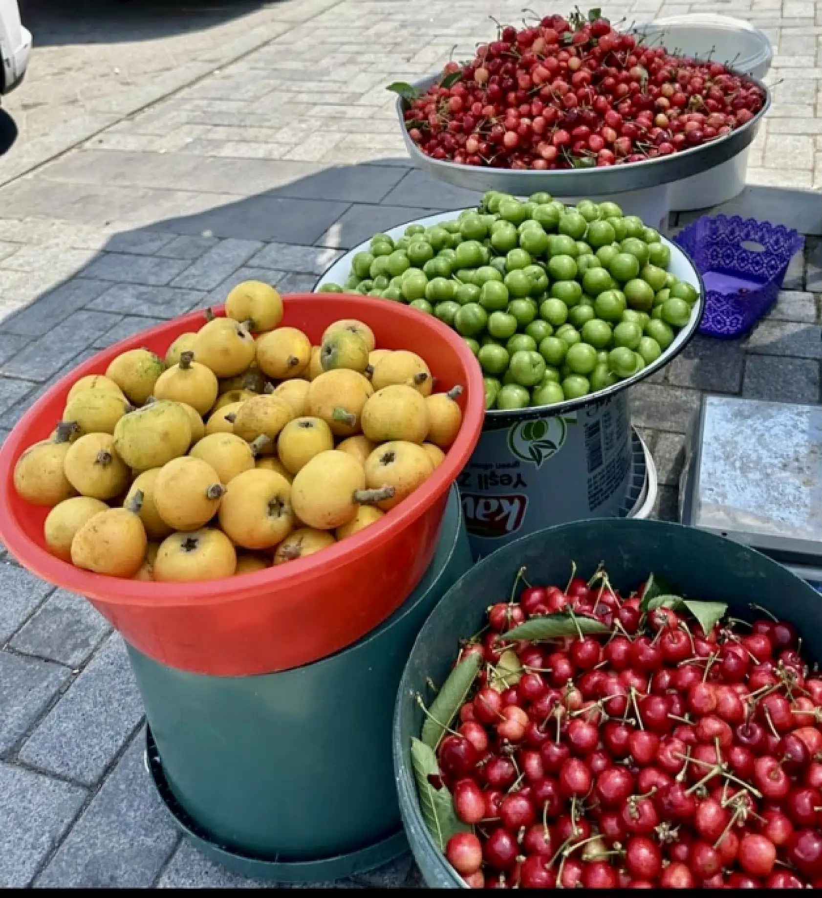 Tarımın geleceği bu ellerde