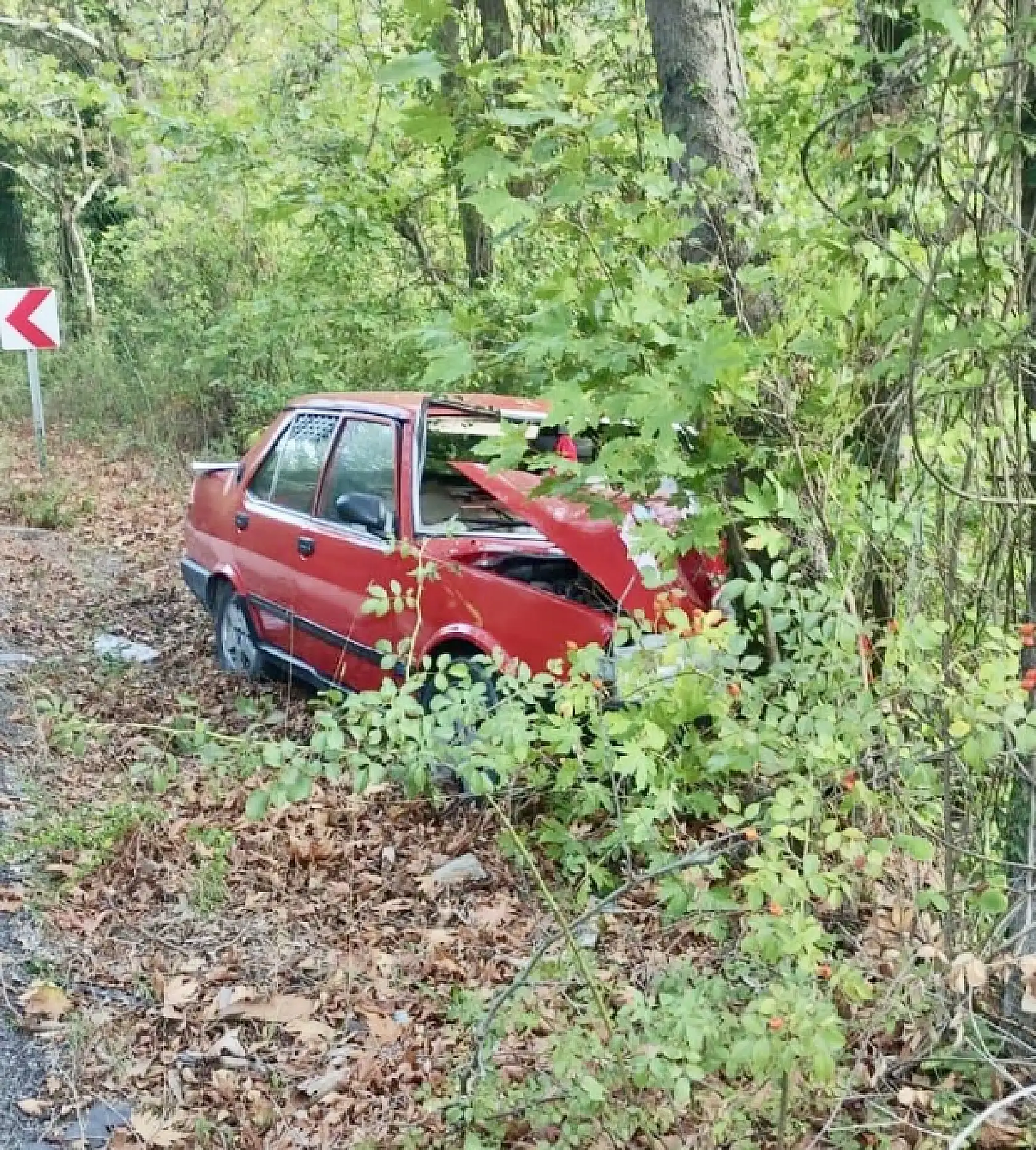 Yoldan çıkan otomobil ağaca çarptı