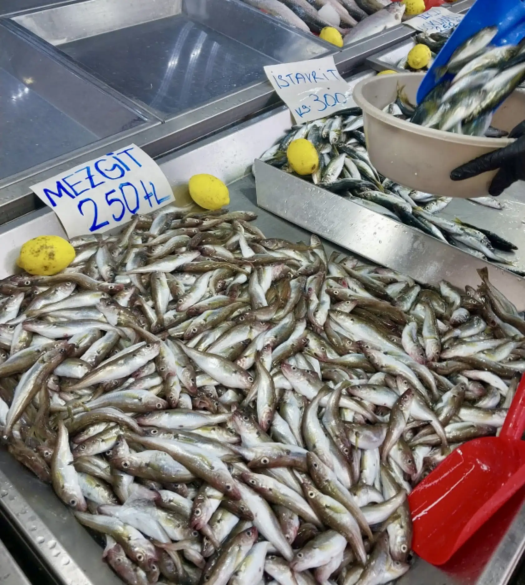 Tezgahın en uygun balığı