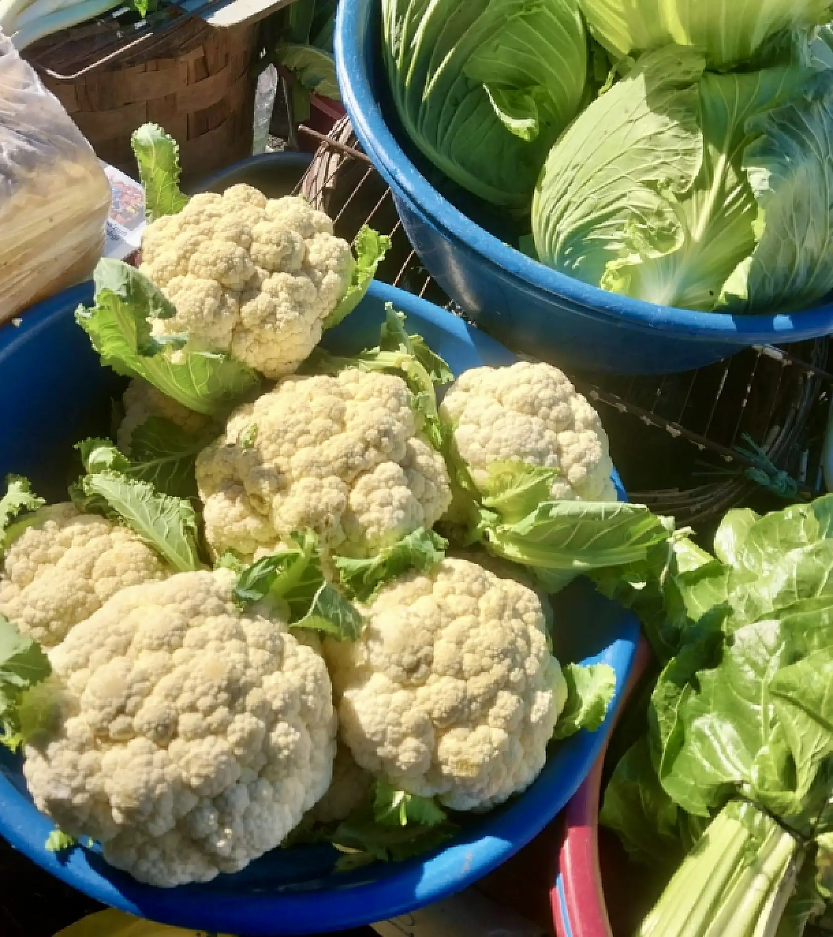 Pazarda ıspıt bolluğu