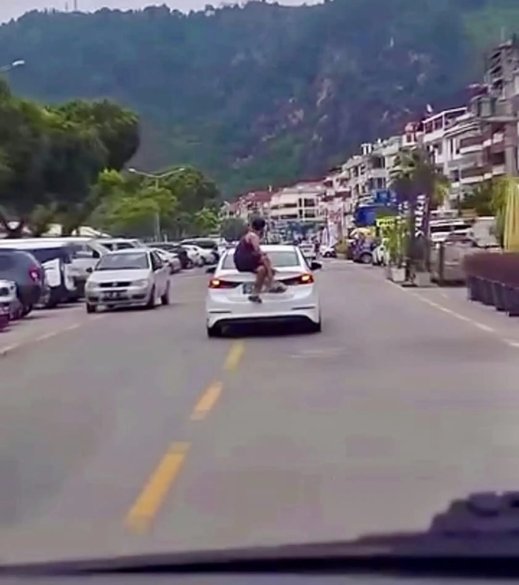 Tatile değil tahribata geldiler