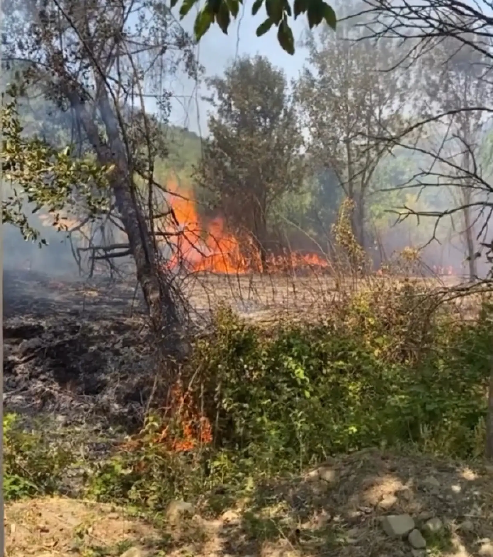 Yangın çıktı, yürekler ağza geldi