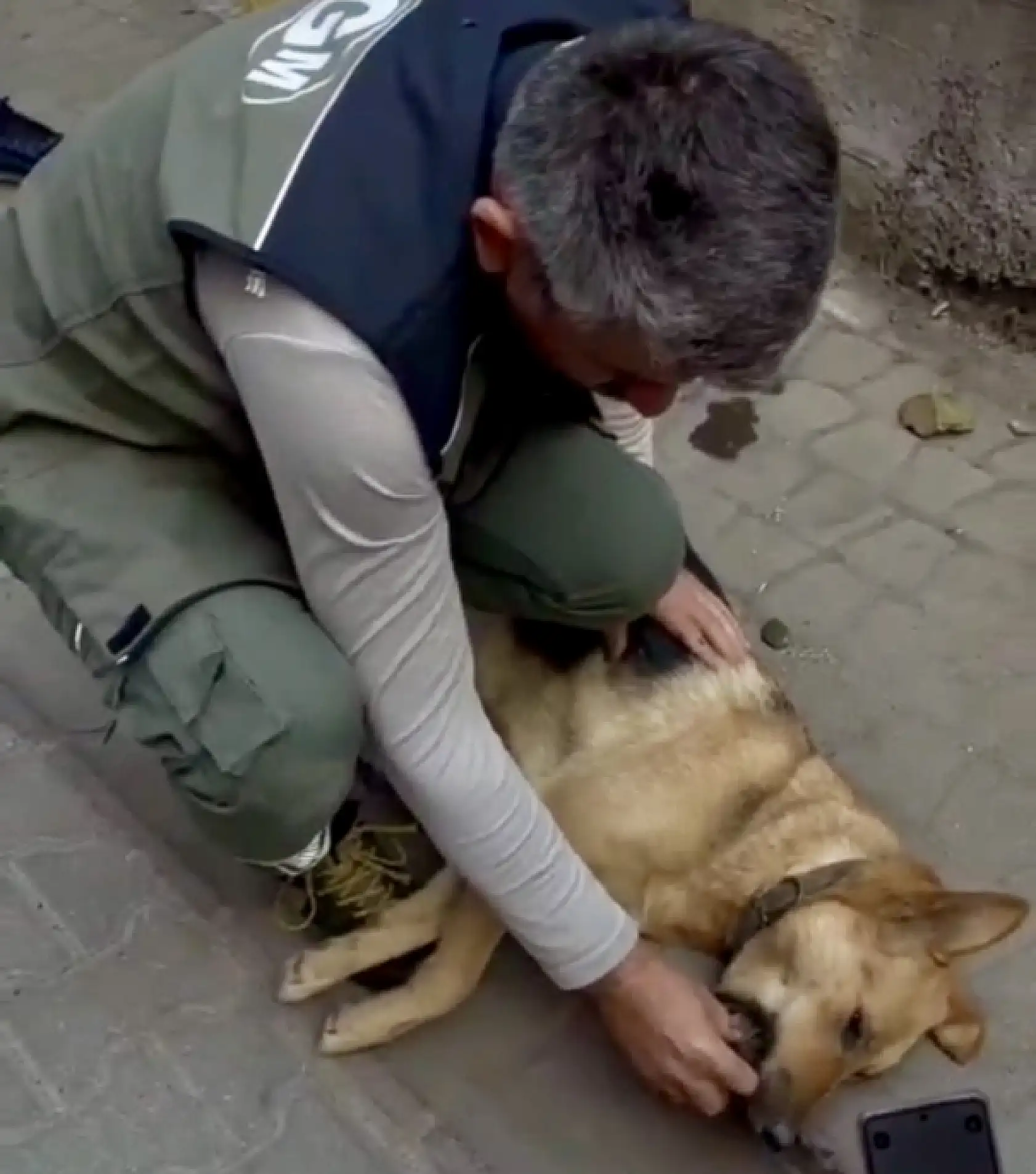 Köpeği hayata döndürmeye çalıştı
