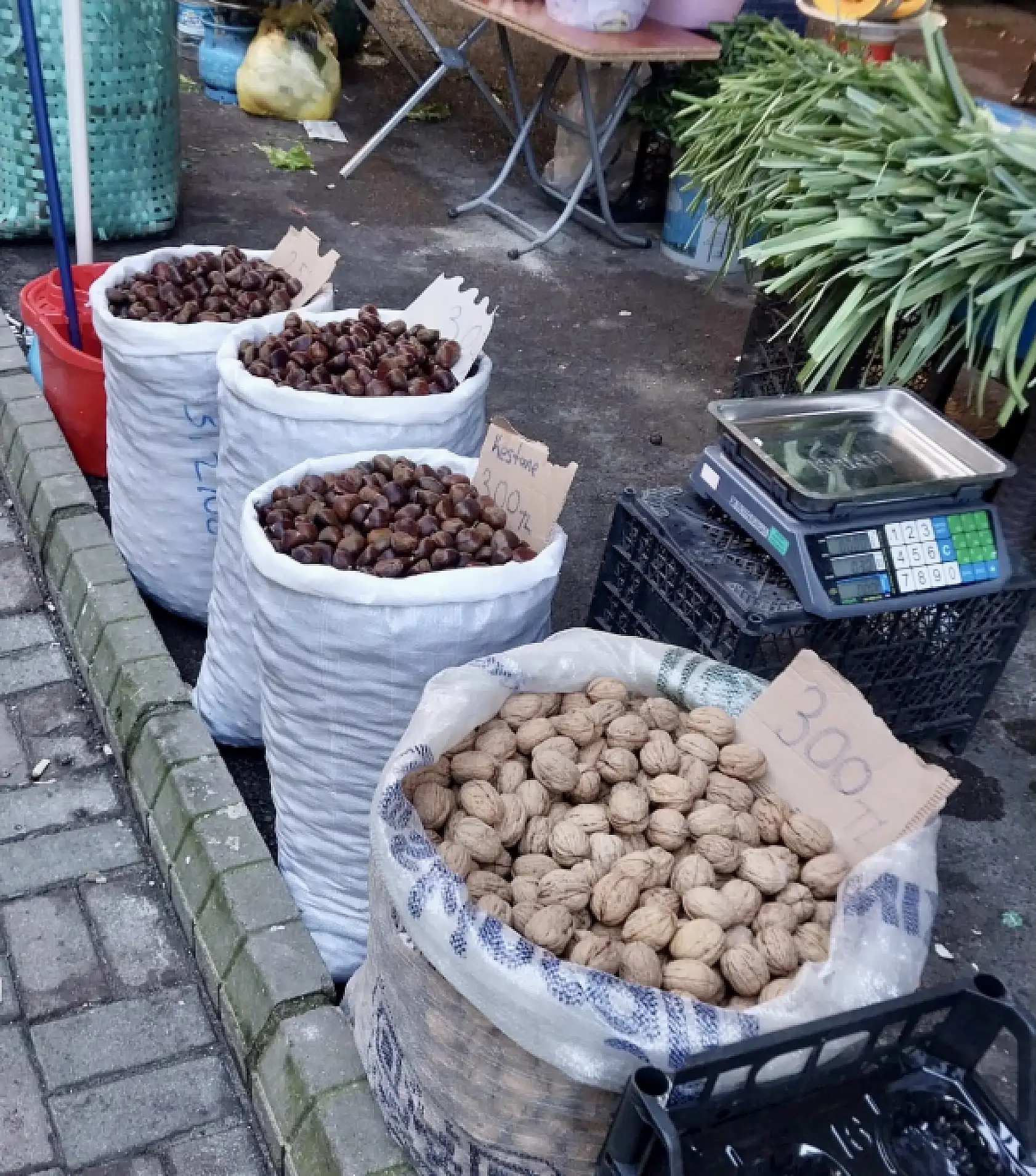 Şebeke suyuynan suluyom ay uşam