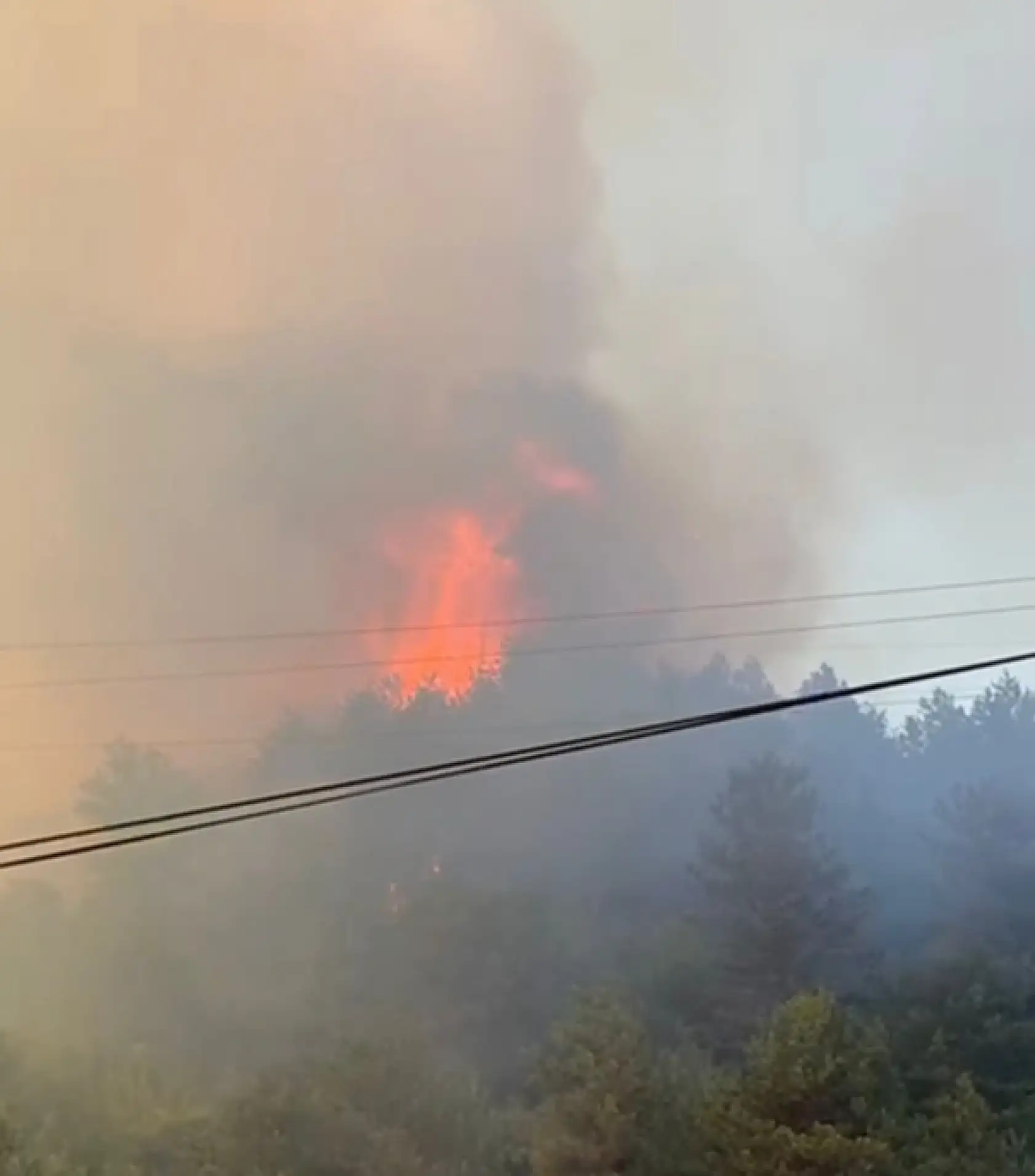 Bartın'da orman yangını çıktı