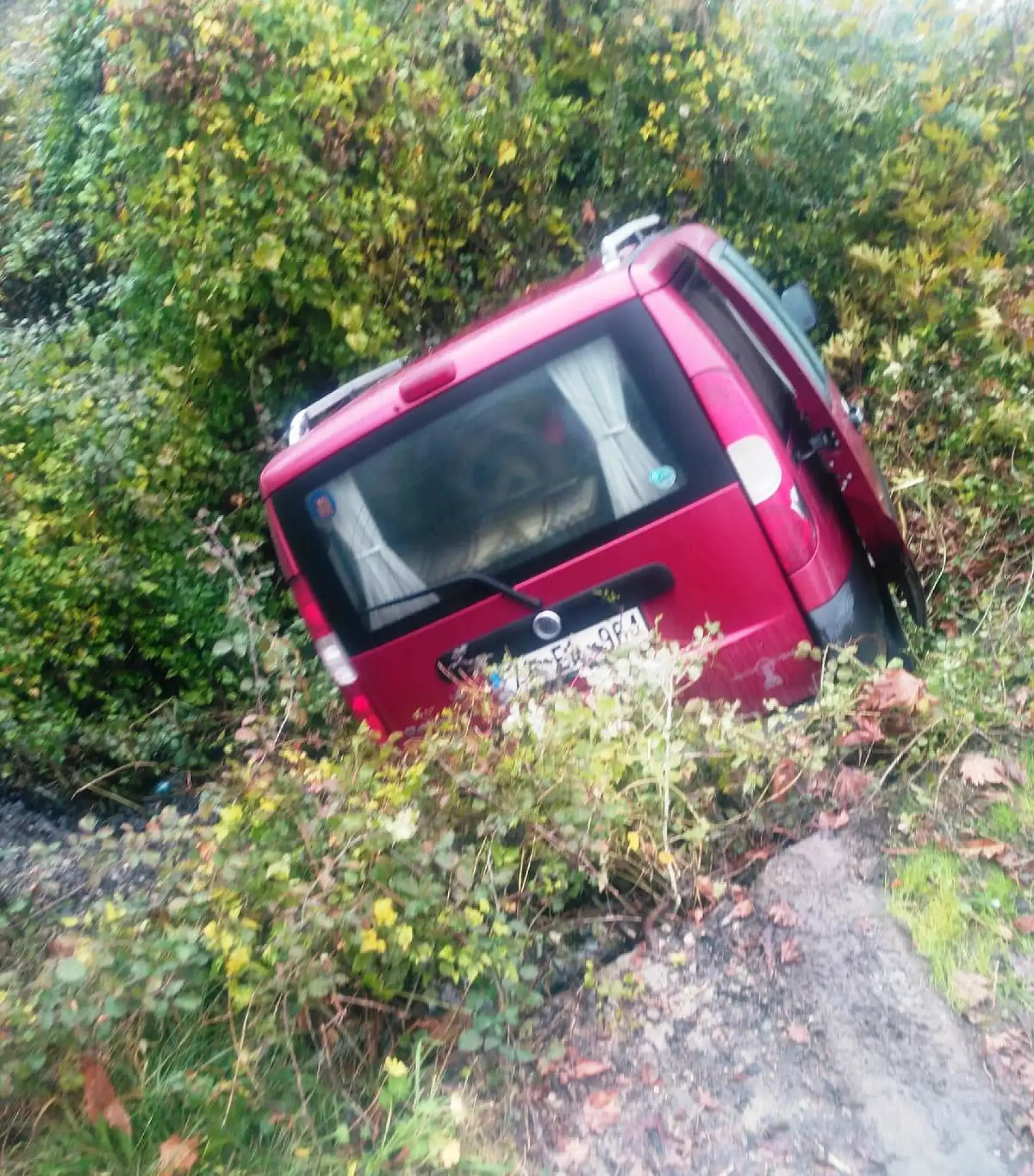 Son dakika, kanala düştü