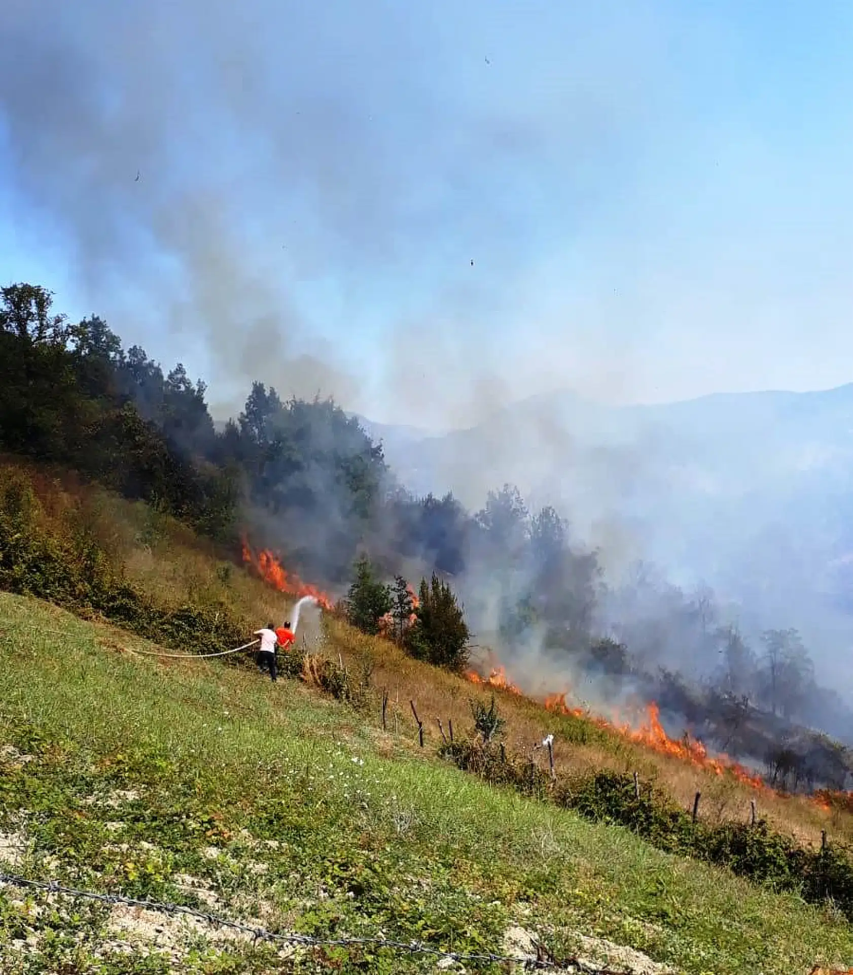 Bartın'da orman yangını
