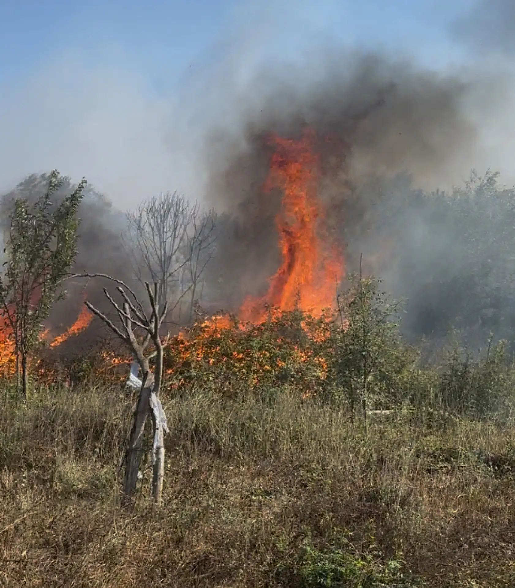 Bartın'da 11 Farklı Noktada Yangın!