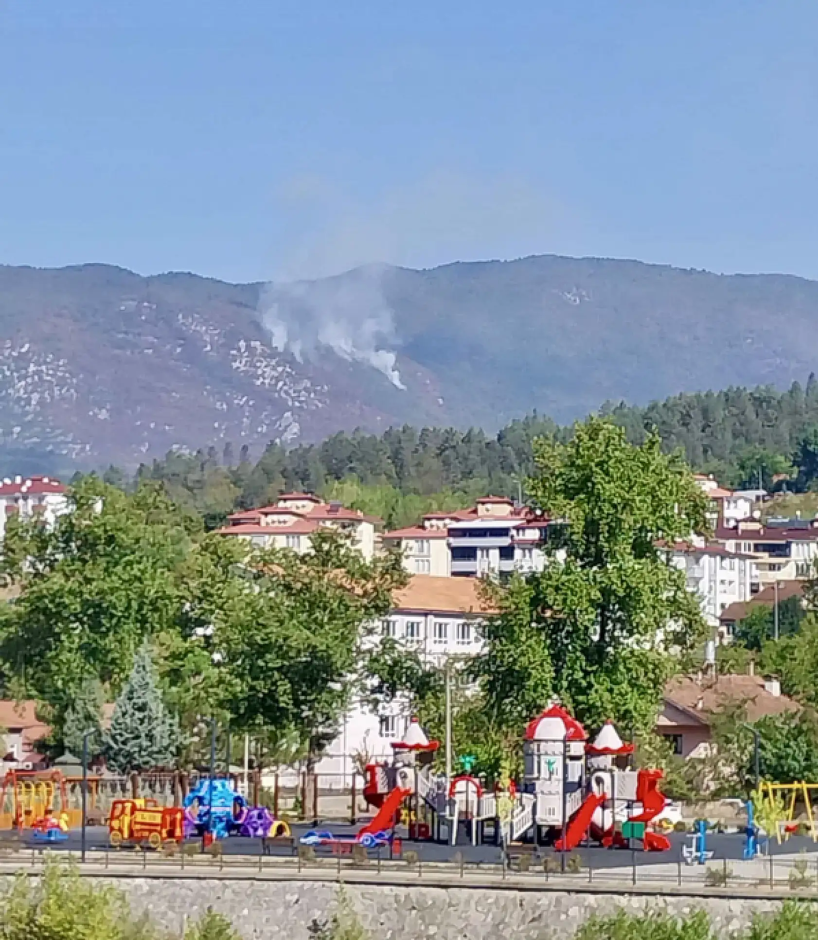 İşte yangının çıkış nedeni