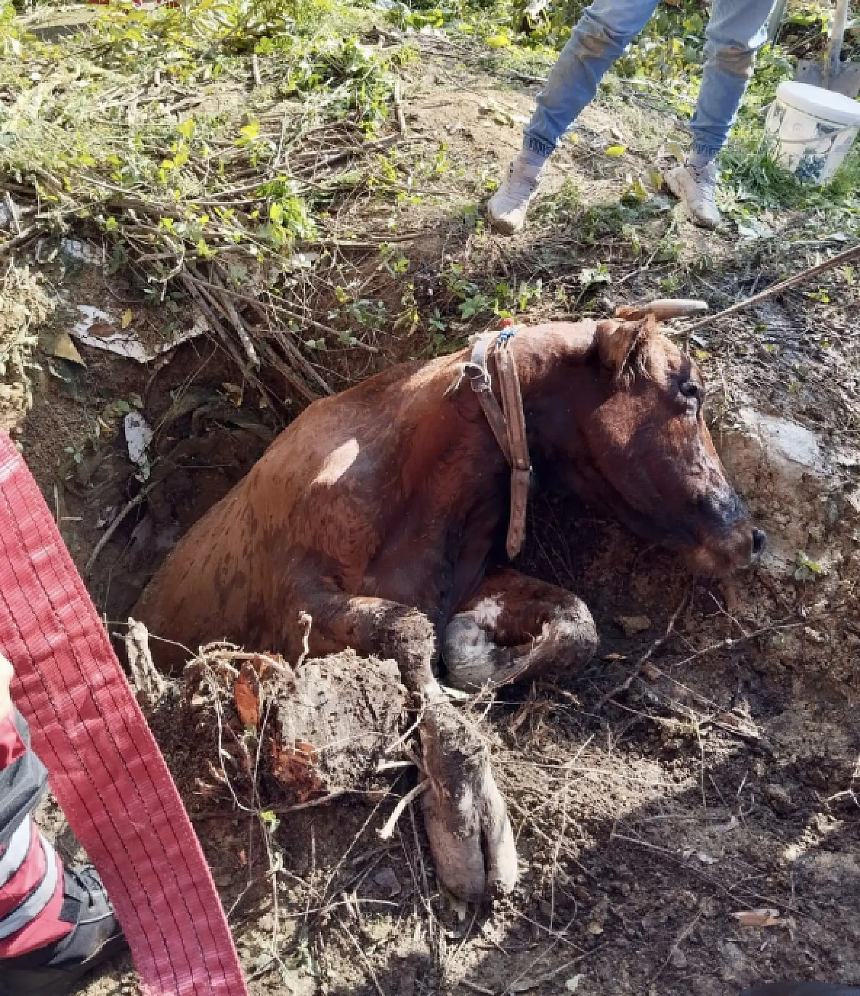 Ekipler seferber oldu