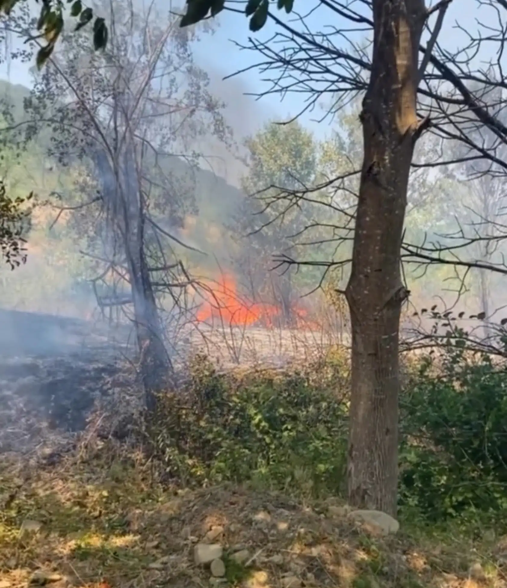 Yangın çıktı, yürekler ağza geldi