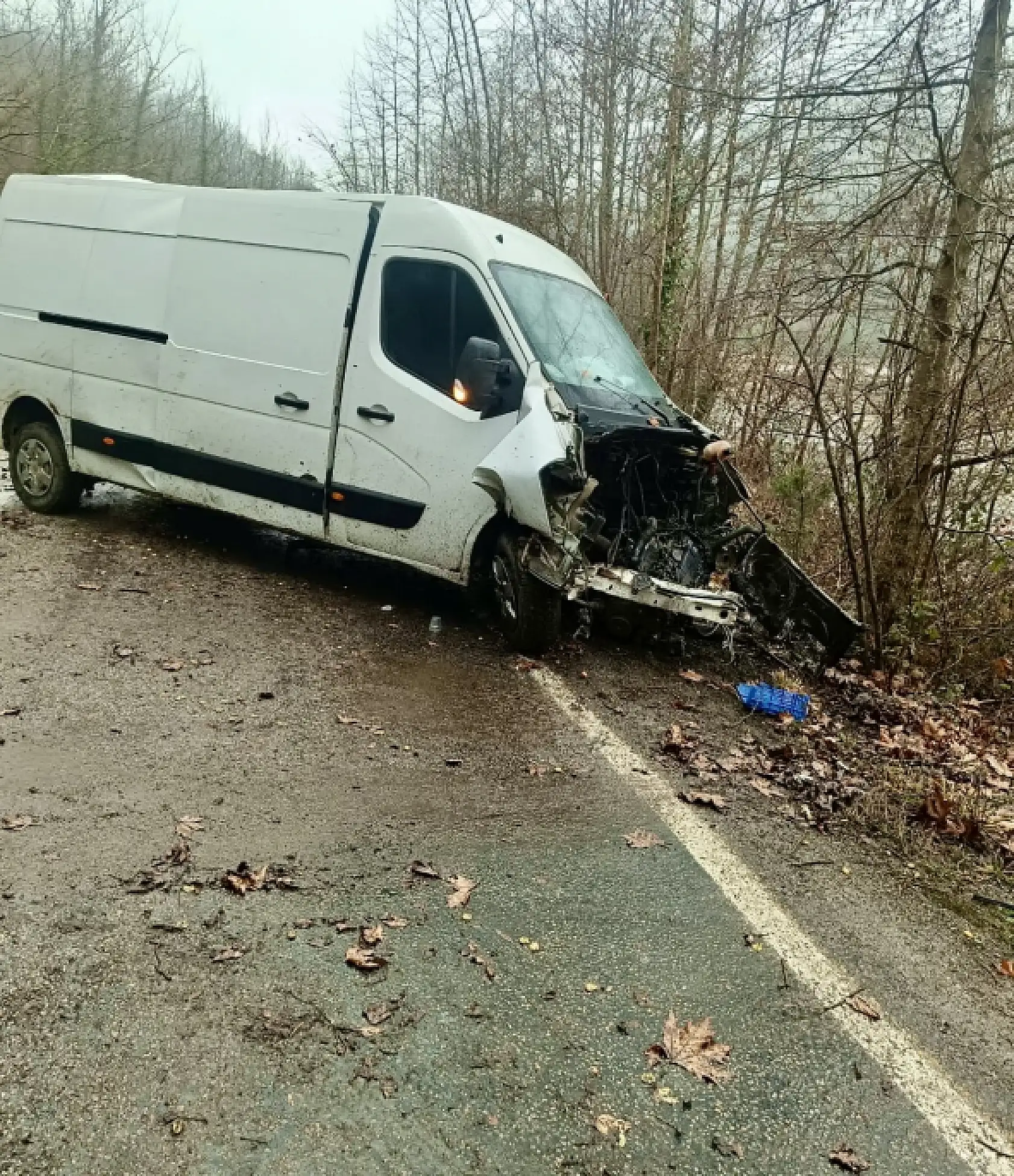 Yola çıkan hayvan kaza yaptırdı