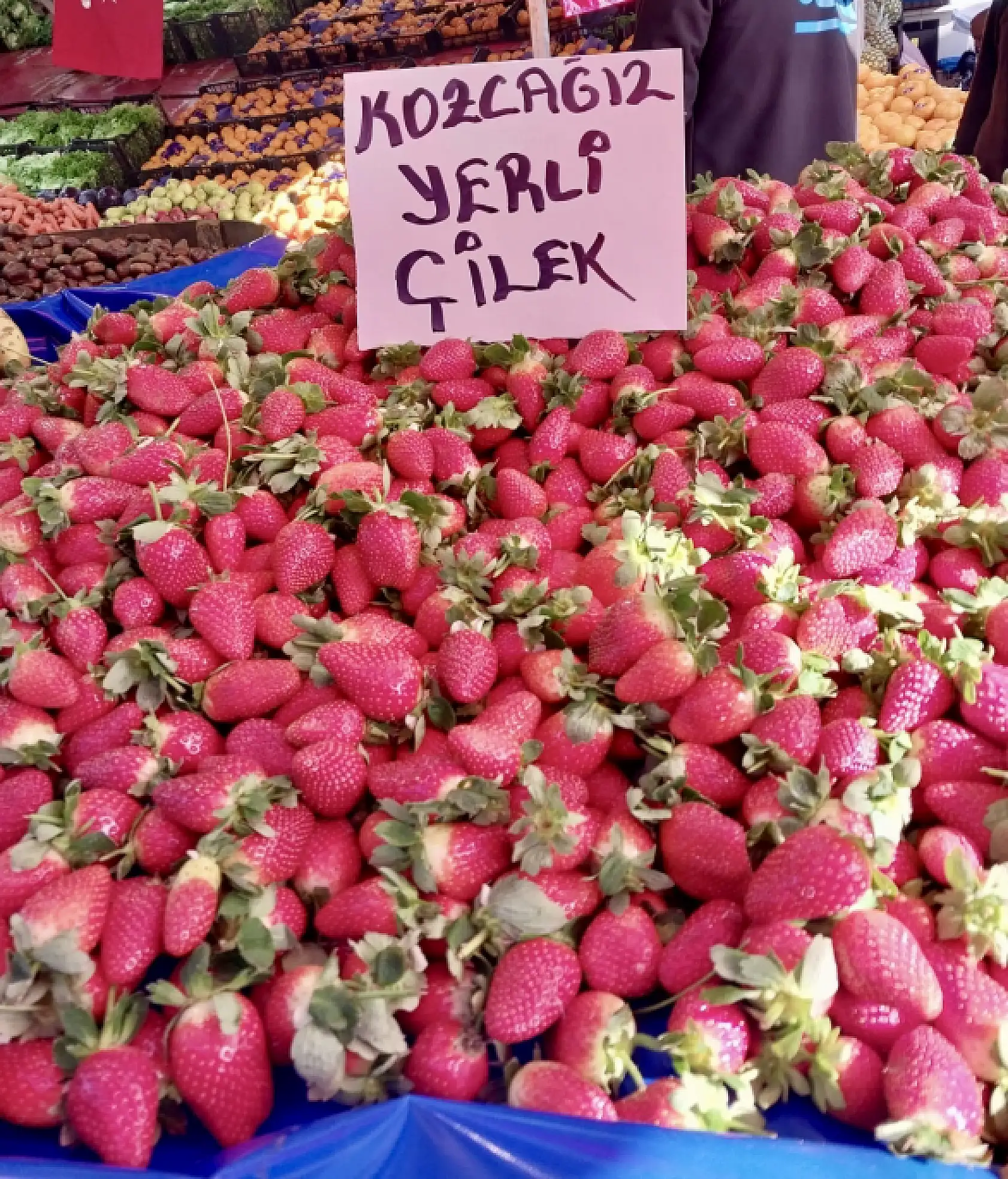 Şebeke suyuynan suluyom ay uşam