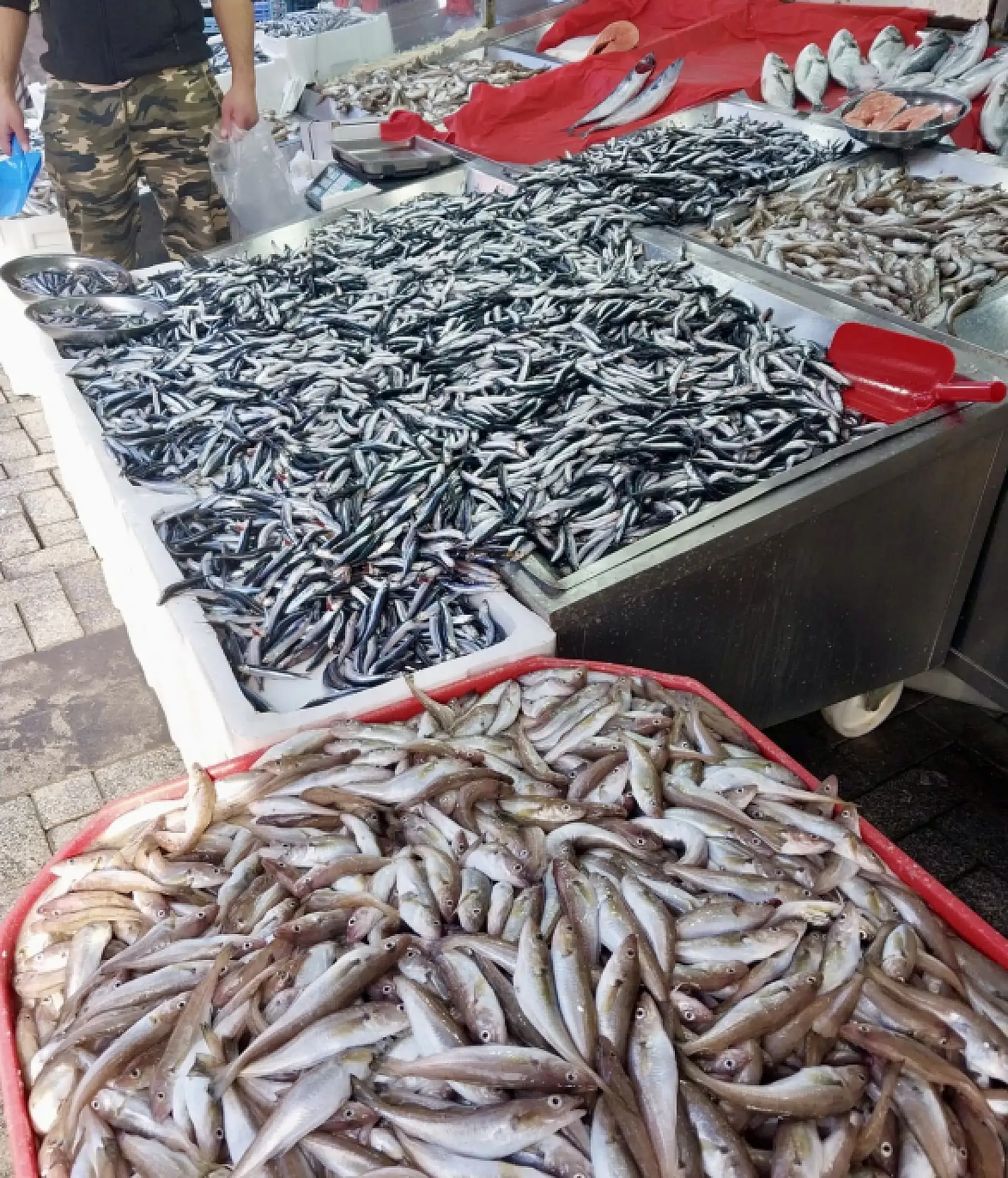 Hamsi yine fırladı