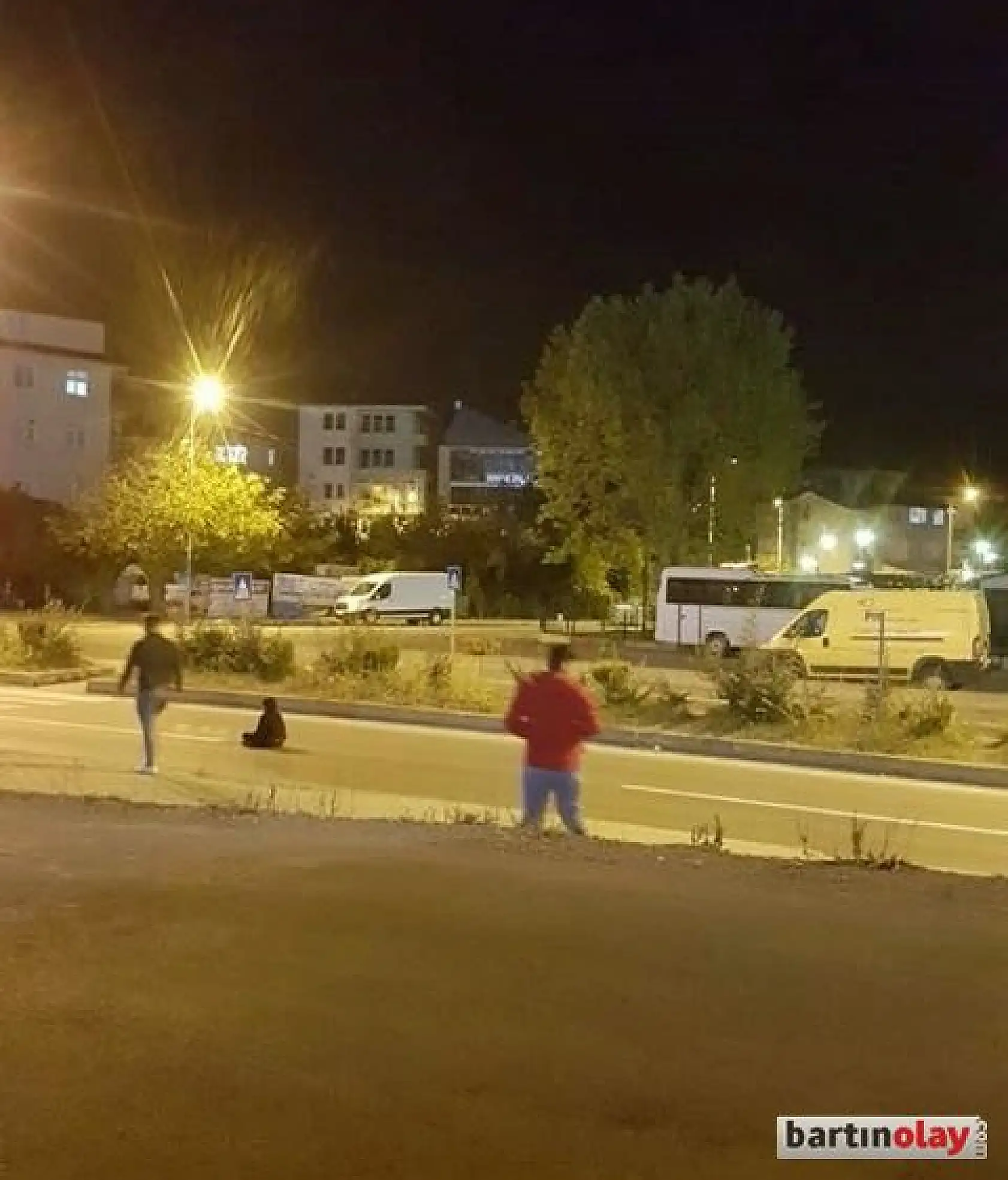 Yolun ortasına oturdu