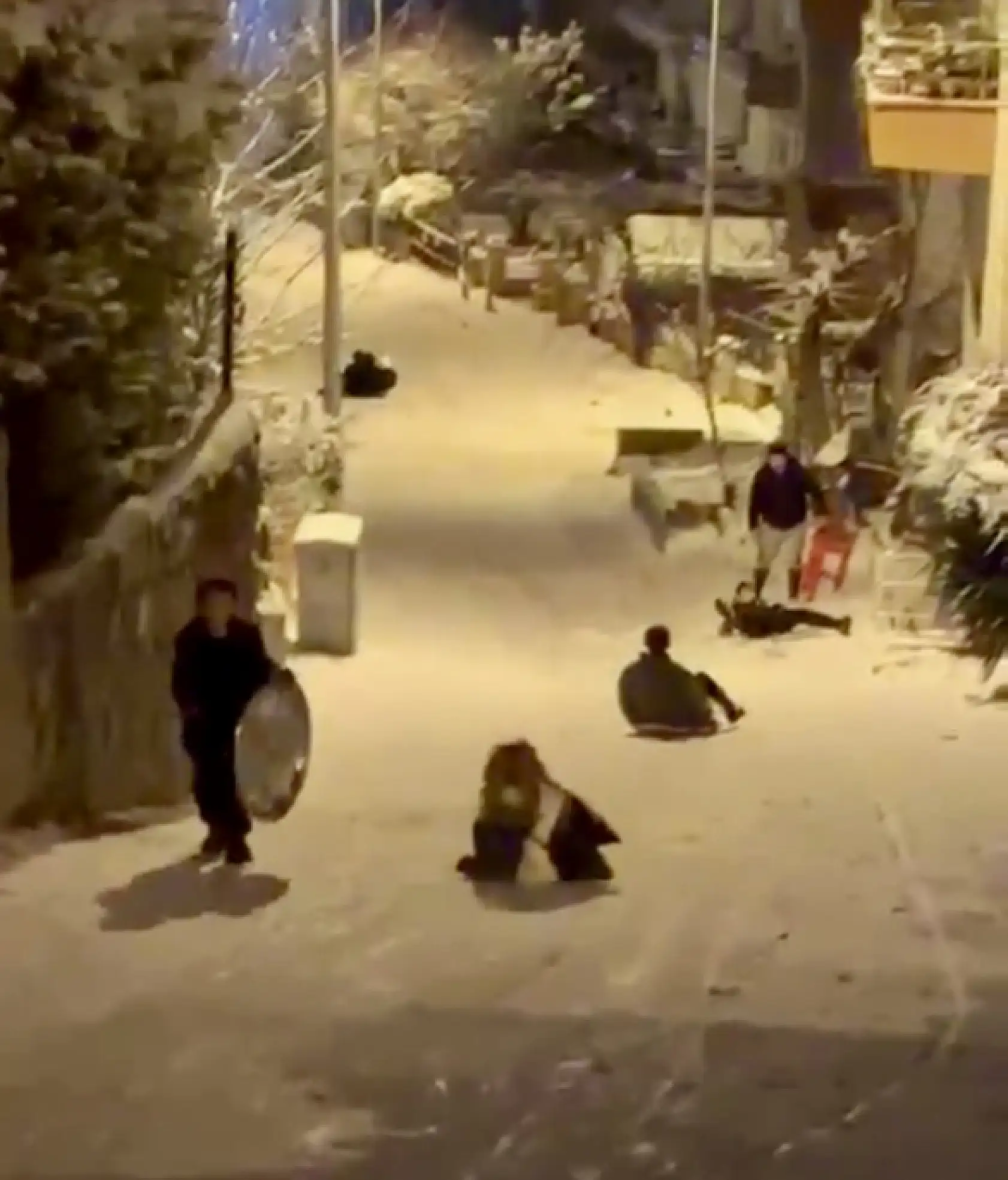 Tepsiyle Kayak keyfi Hastanede Bitti