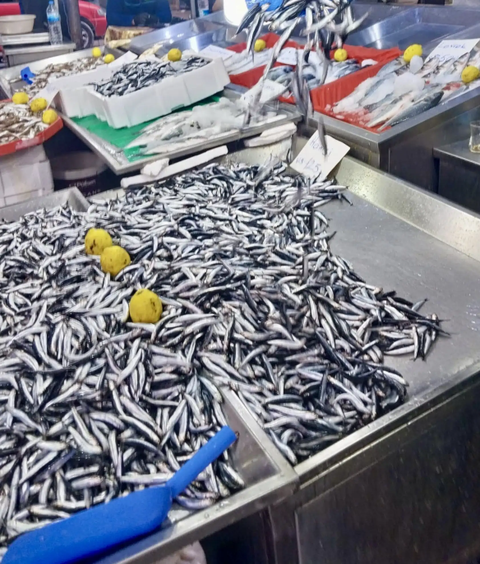 Hava bozdu, balık azaldı