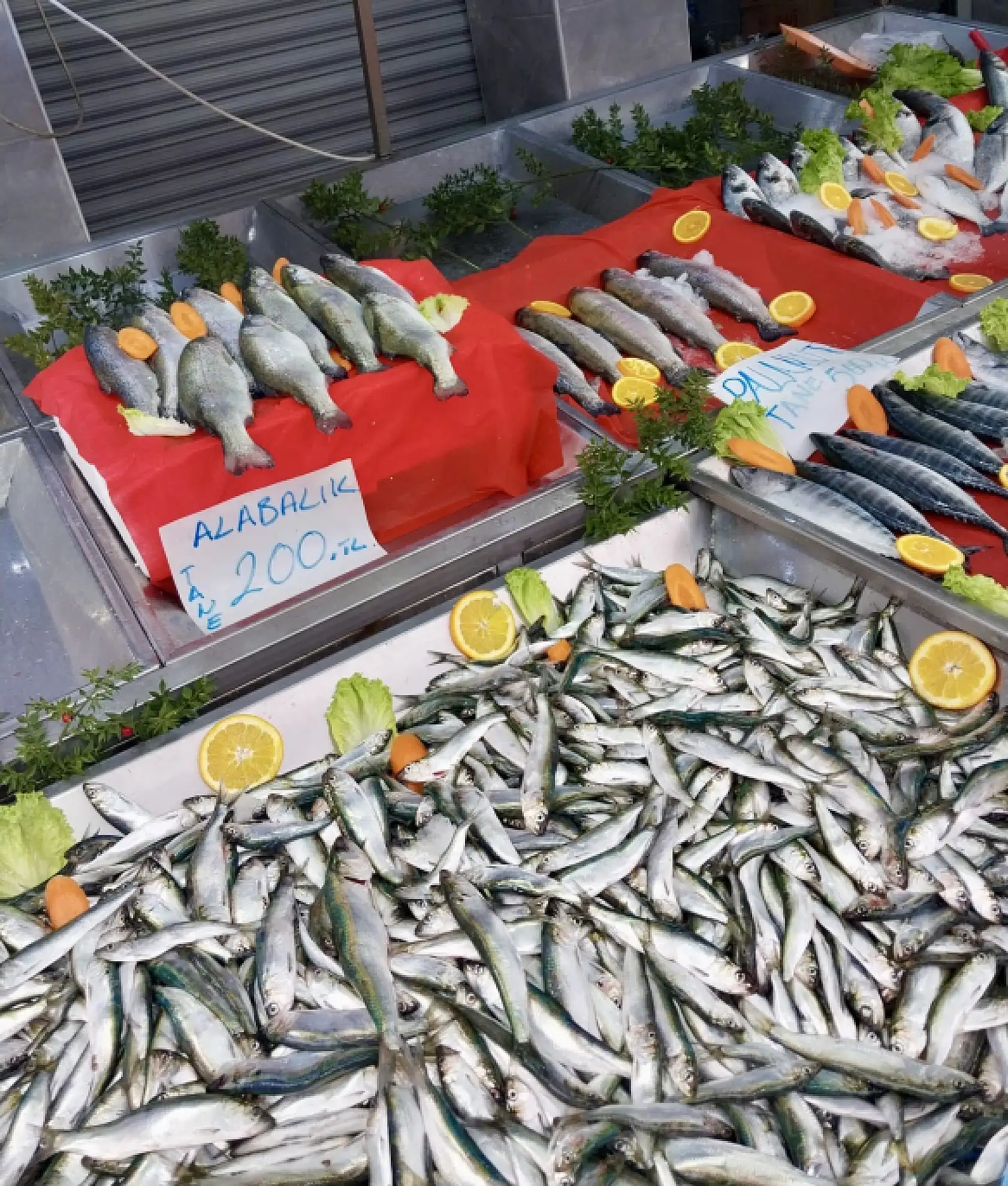 Balık bollaştı, tezgahlar coştu