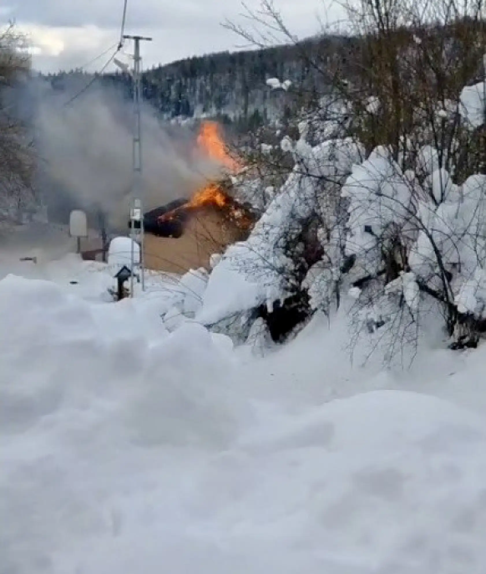 Bartın'da korkutan yangın