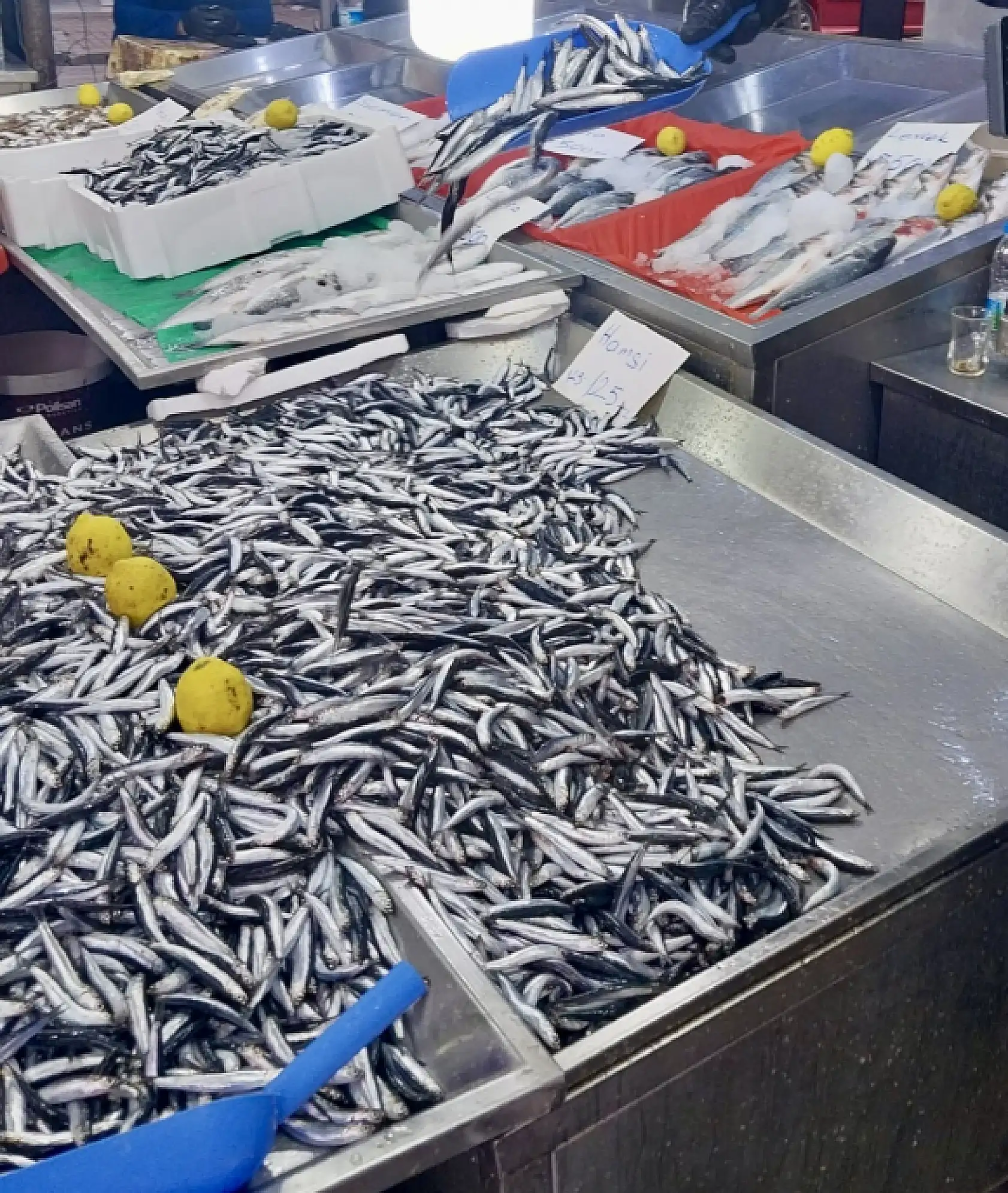 Hava bozdu, balık azaldı