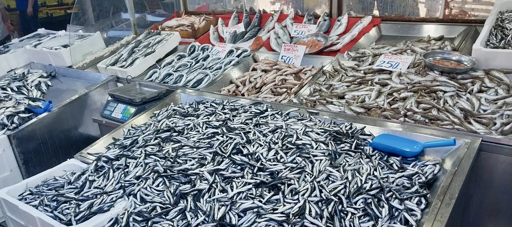 Denizle birlikte fiyatlar da dalgalandı