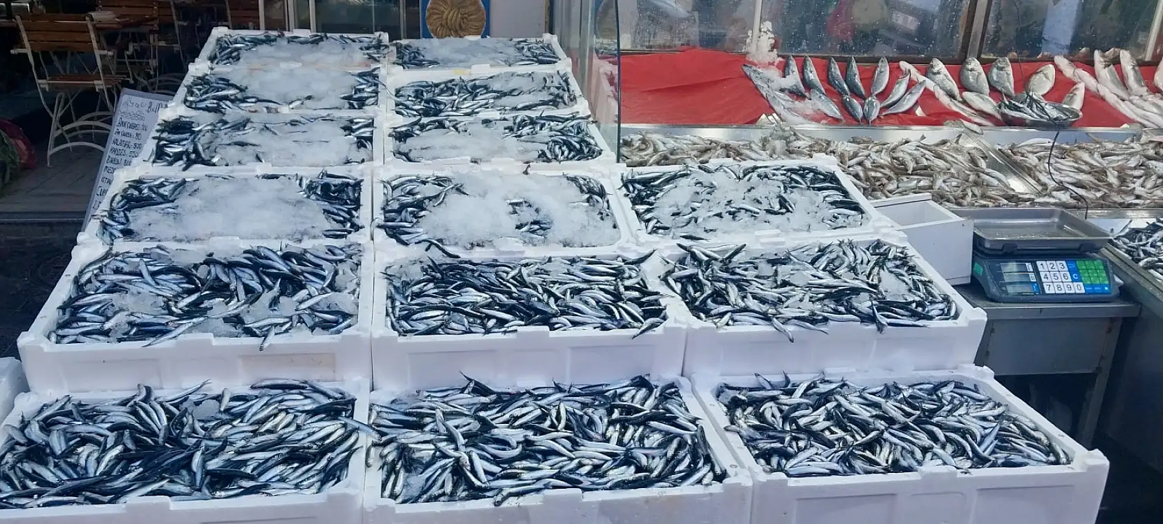 Gel vatandaş gel kampanyaya gel