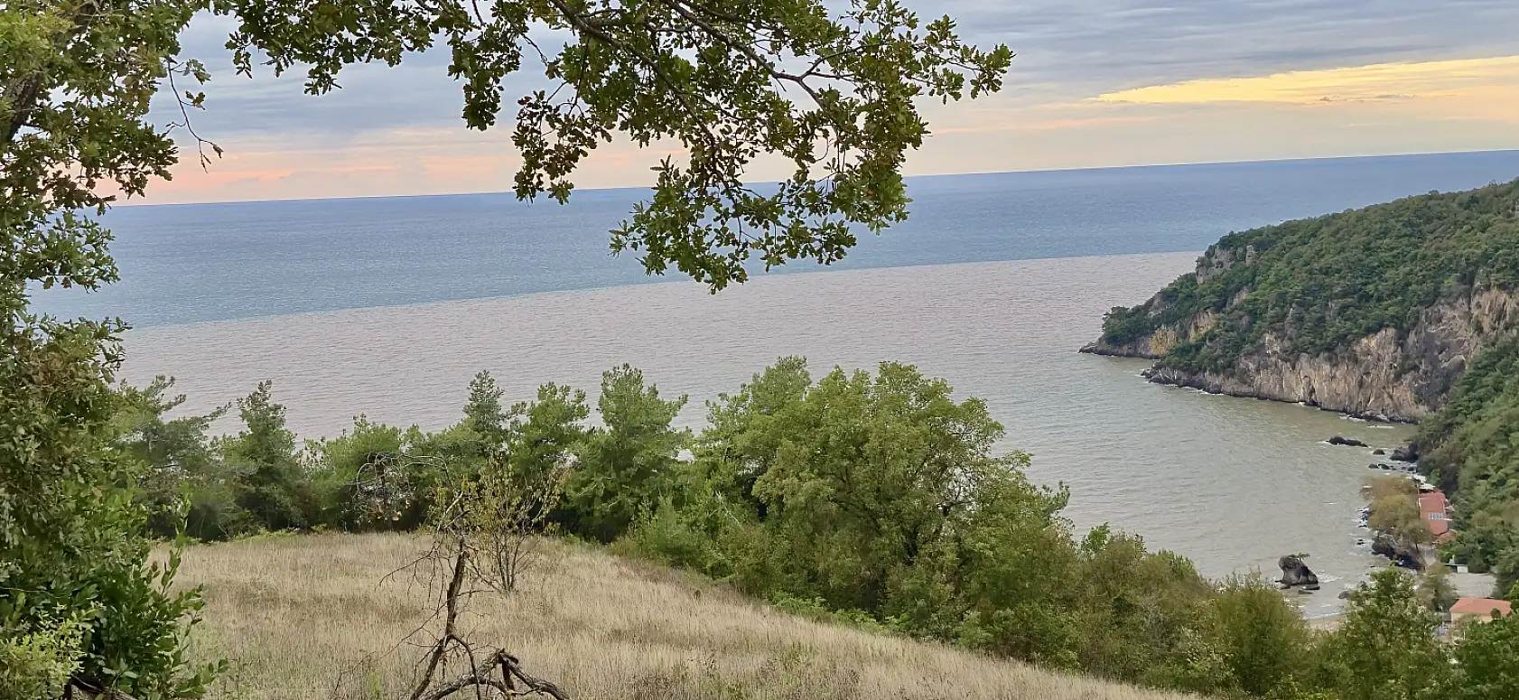 Sahilde tepki çeken kirlilik