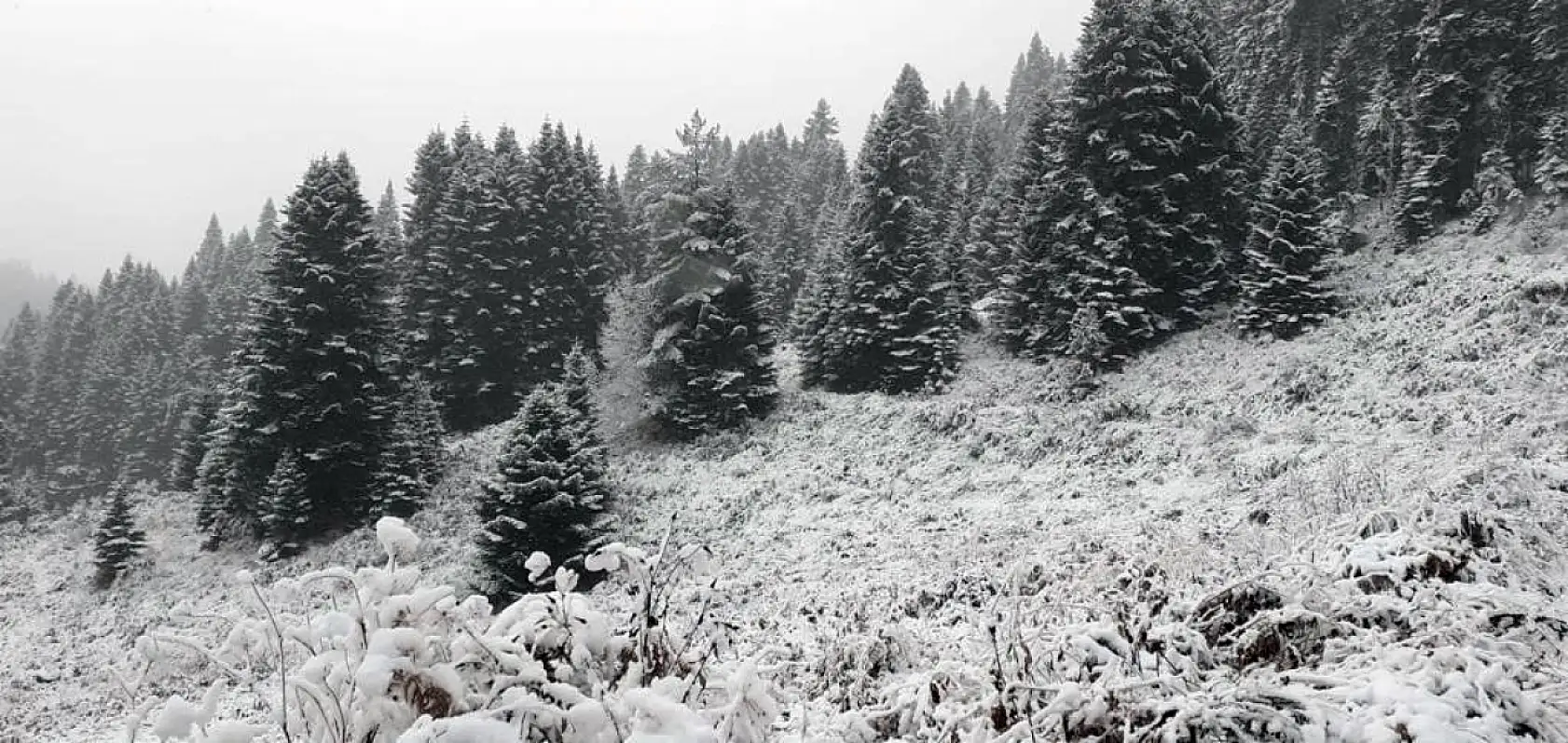 Yaylalardan kar manzarası
