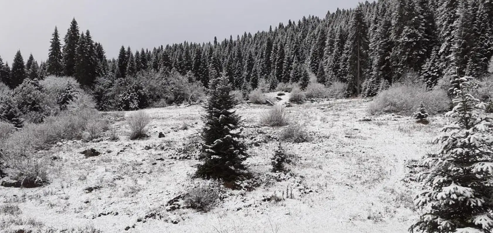 Yaylalardan kar manzarası